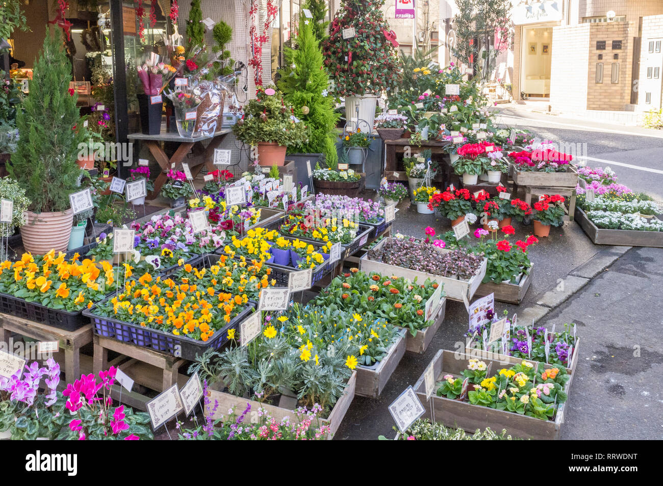 Flower shop in Tokyo, Japan Stock Photo Alamy