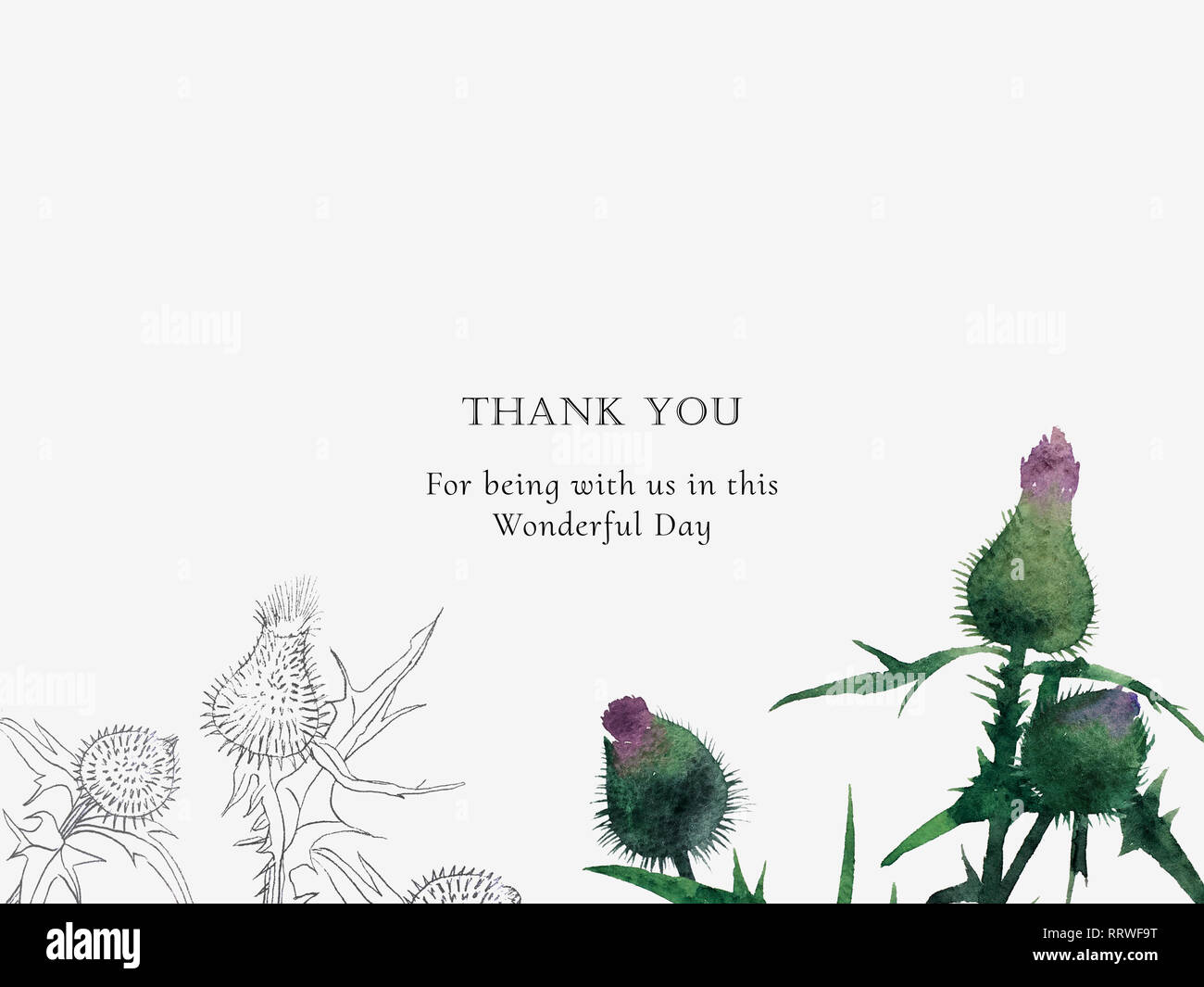 Elegant thank you invitation template with watercolor and engraving wild meadow flowers and text for your design. Stock Photo