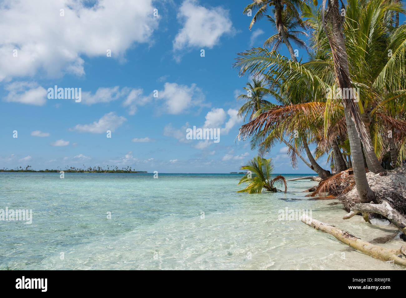 palm trees on tropical islands beach Stock Photo - Alamy