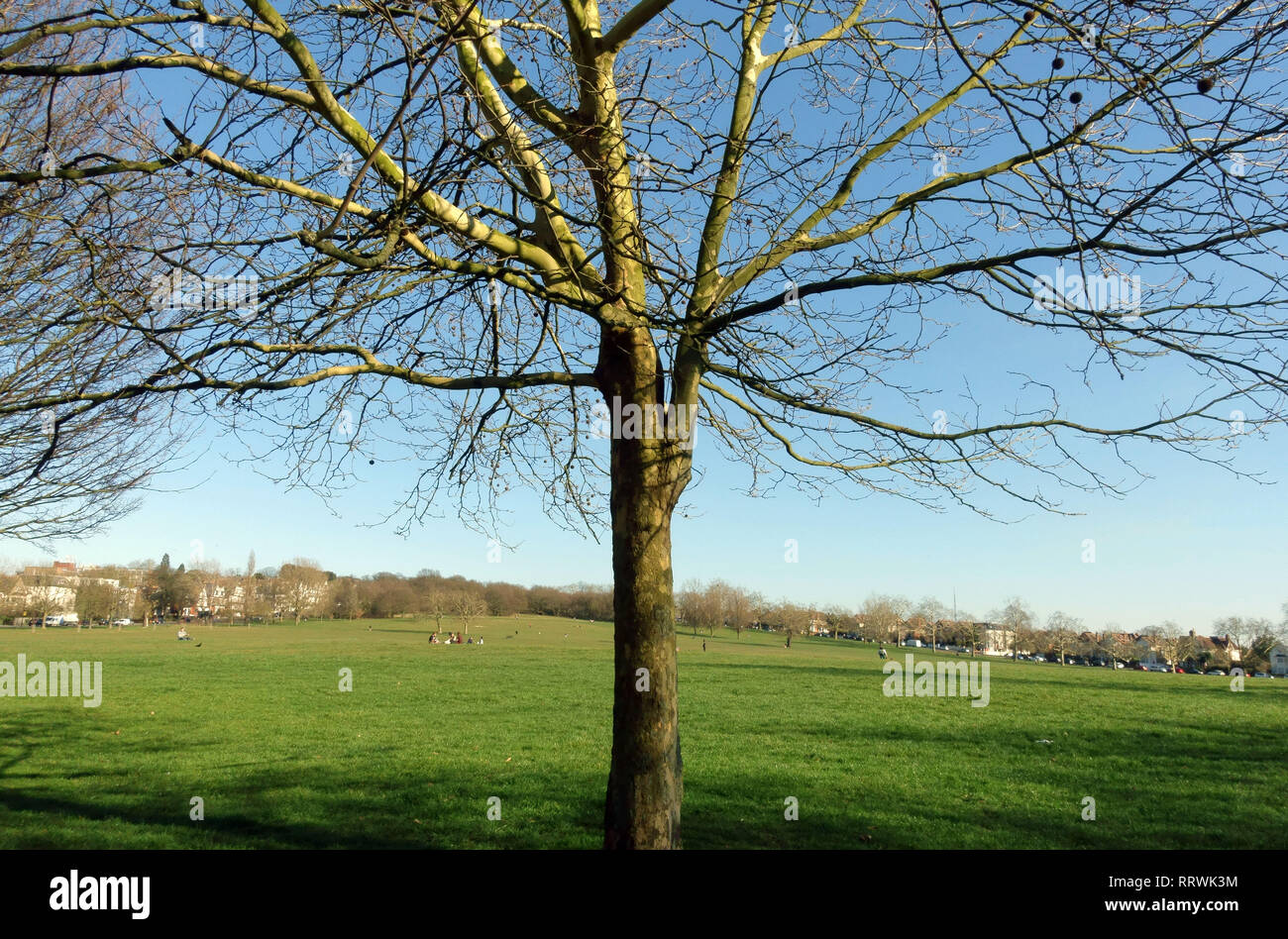 Streatham Common in South London Stock Photo