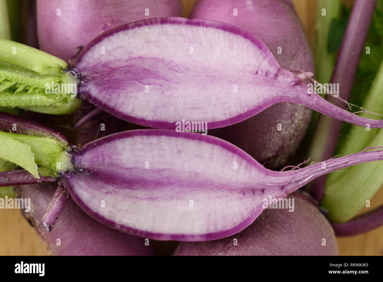 Radish cut in half Stock Photo Alamy