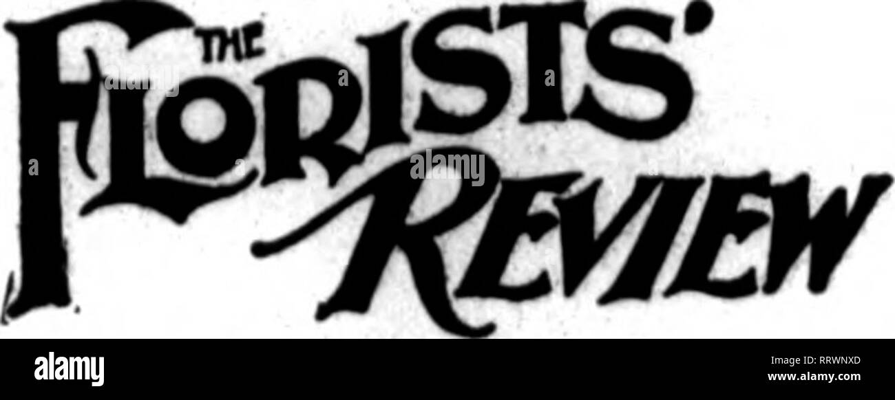. Florists' review [microform]. Floriculture. m Tlie Florists* Review Mat i9. loll ALPHABBTICAL INDEX TO ADVBRTISERS I Smyth, W. J 42 South Bend Flo. Co. 38 So. I'ark Flo. Co. .21-04 Southern ('.vpress Mfrs.' A8BU 103 Southwestern Sei'd Co 40 Staiger &amp; Mundwller 51 Standard Pottery... 50 Standard Pump &amp; Engine Co 97 State Nursery Oo... 38 Steele's Paosles.... 52 Stewart, E. B 45 Stewart. S. B 38 Stoki-s Bros. Co 103 Stokes' Seed Store.. 48 Stoothoff Co 97 Storrs &amp; Harrison.. 66 Strohmeler, R 40 Stumpp &amp; Walter.. 1 Stuppy Flo. Co 40 Superior Boiler 95 Swanson's 42 Syracuse Potte Stock Photo