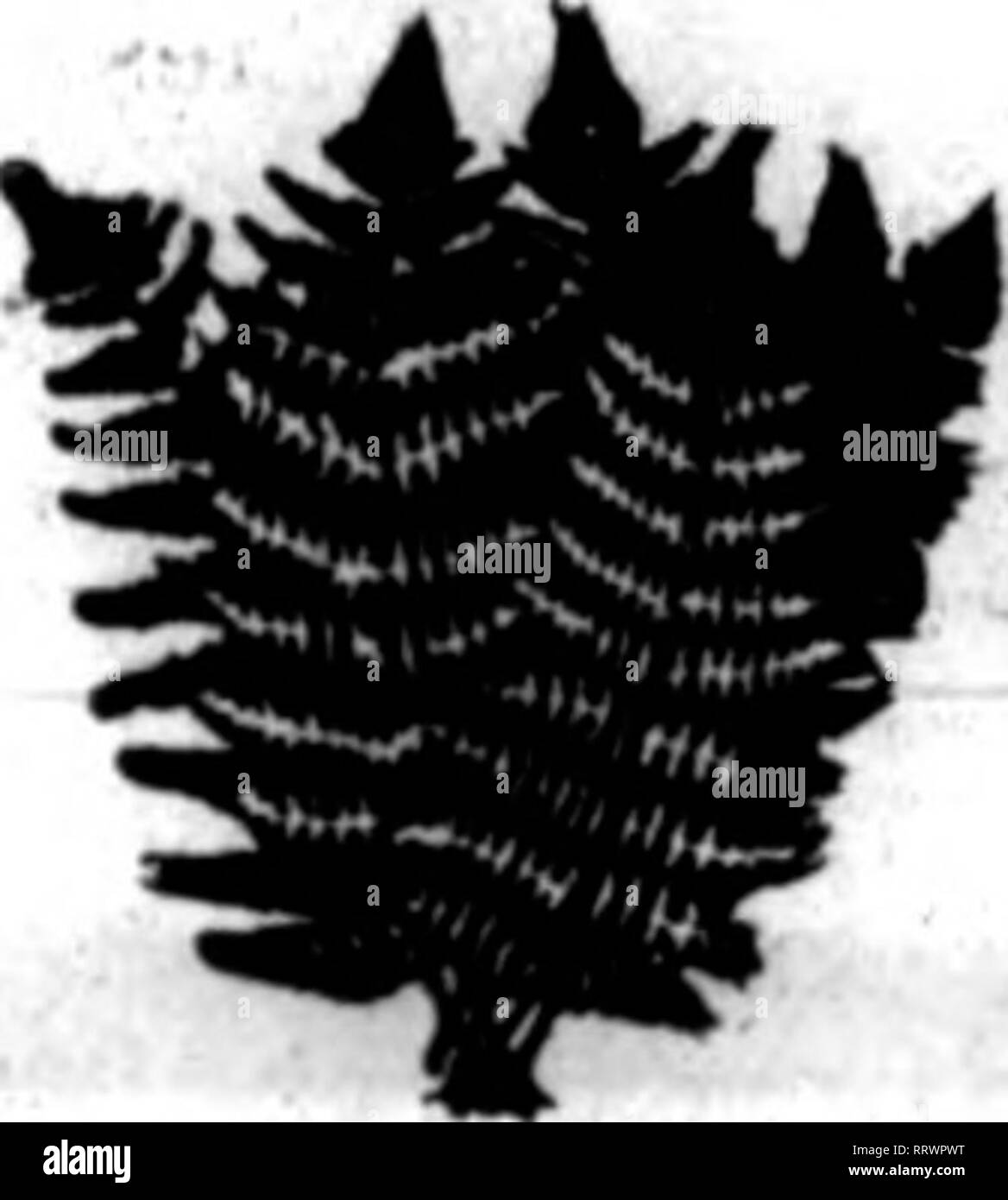 Blk Black And White Stock Photos Images Alamy