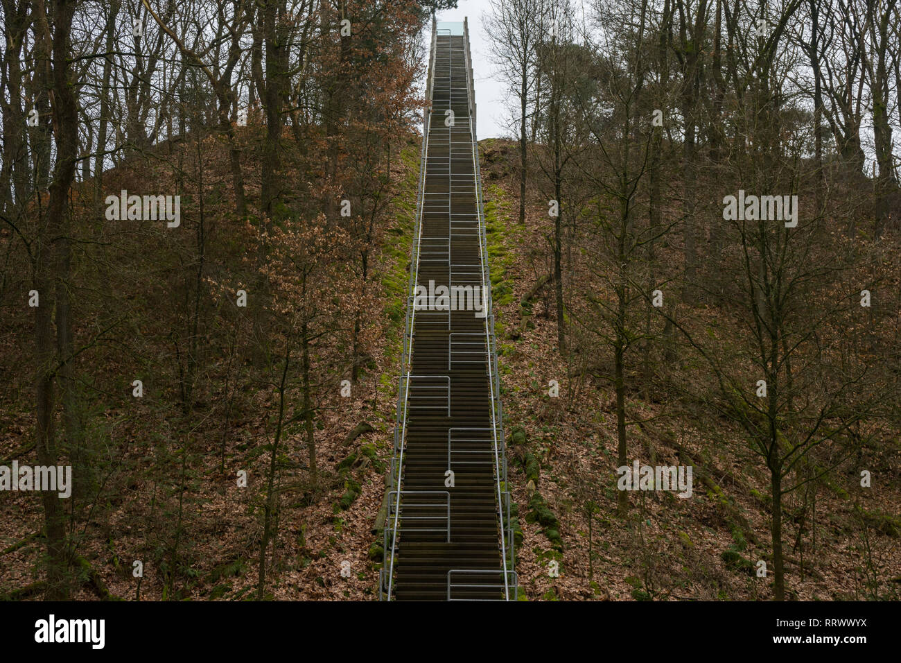 Super high stairway to heaven. Trought trees woods and leaves. Straight up one line outdoors staircase. Stock Photo