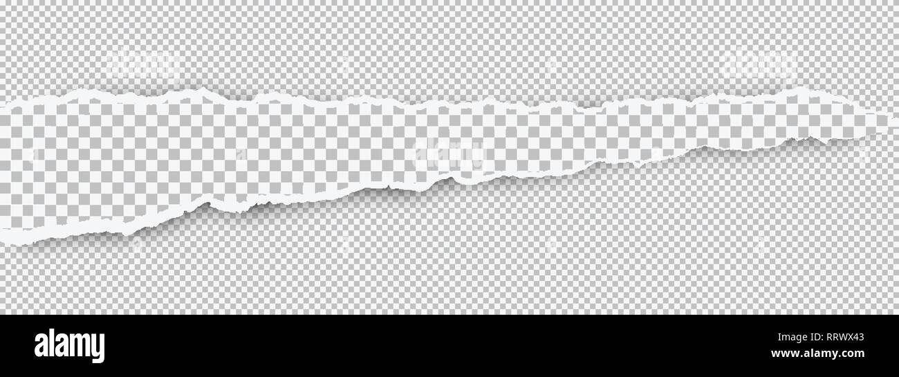 Torn squared white horizontal paper strip is on white background with space for text. Vector illustration Stock Vector
