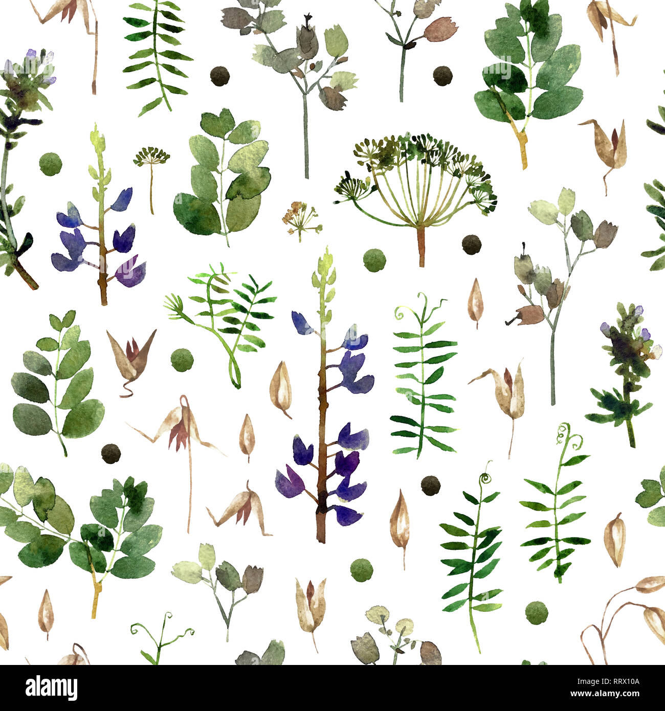 Isolated on white background seamless pattern with botany for your ...