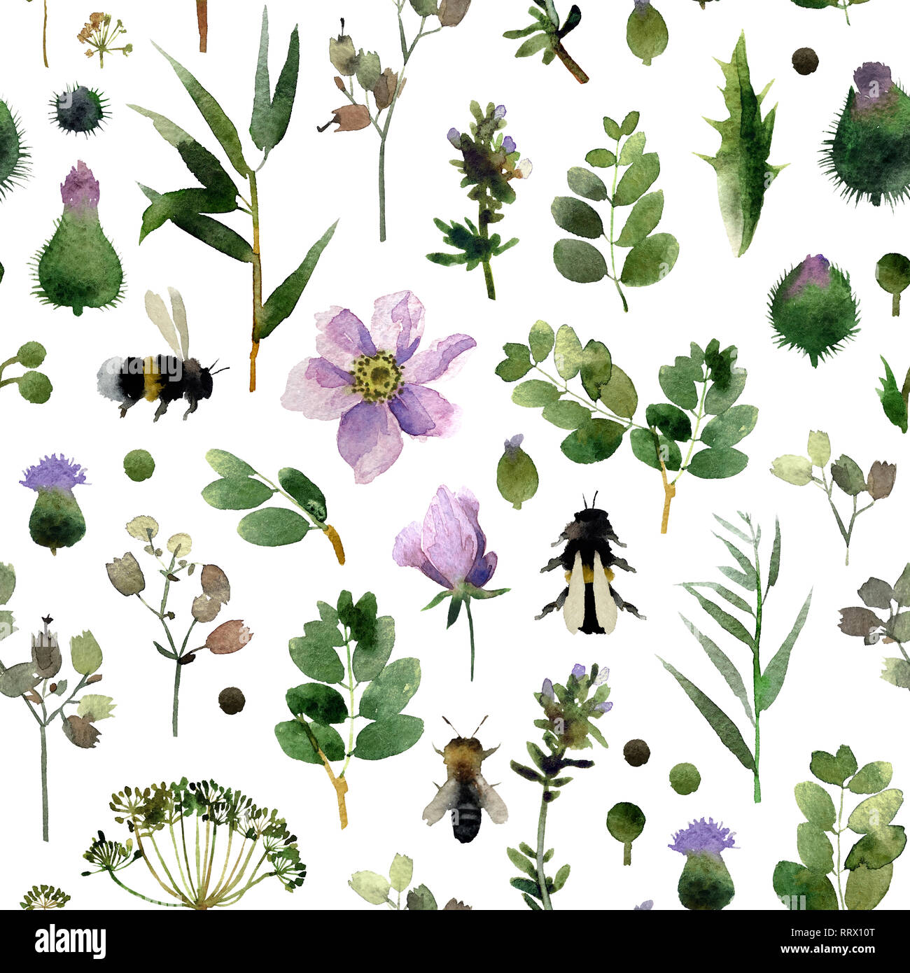 Isolated on white background seamless pattern with botany for your ...