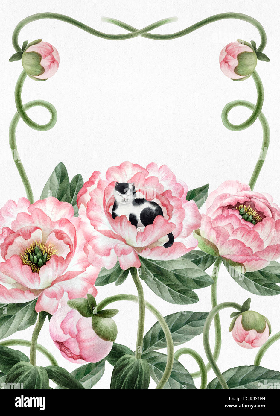 Bouquet of beautiful watercolor peonies and cat isolated on white background. Botany watercolor peonies for design, postcards, banners, emblems, illus Stock Photo