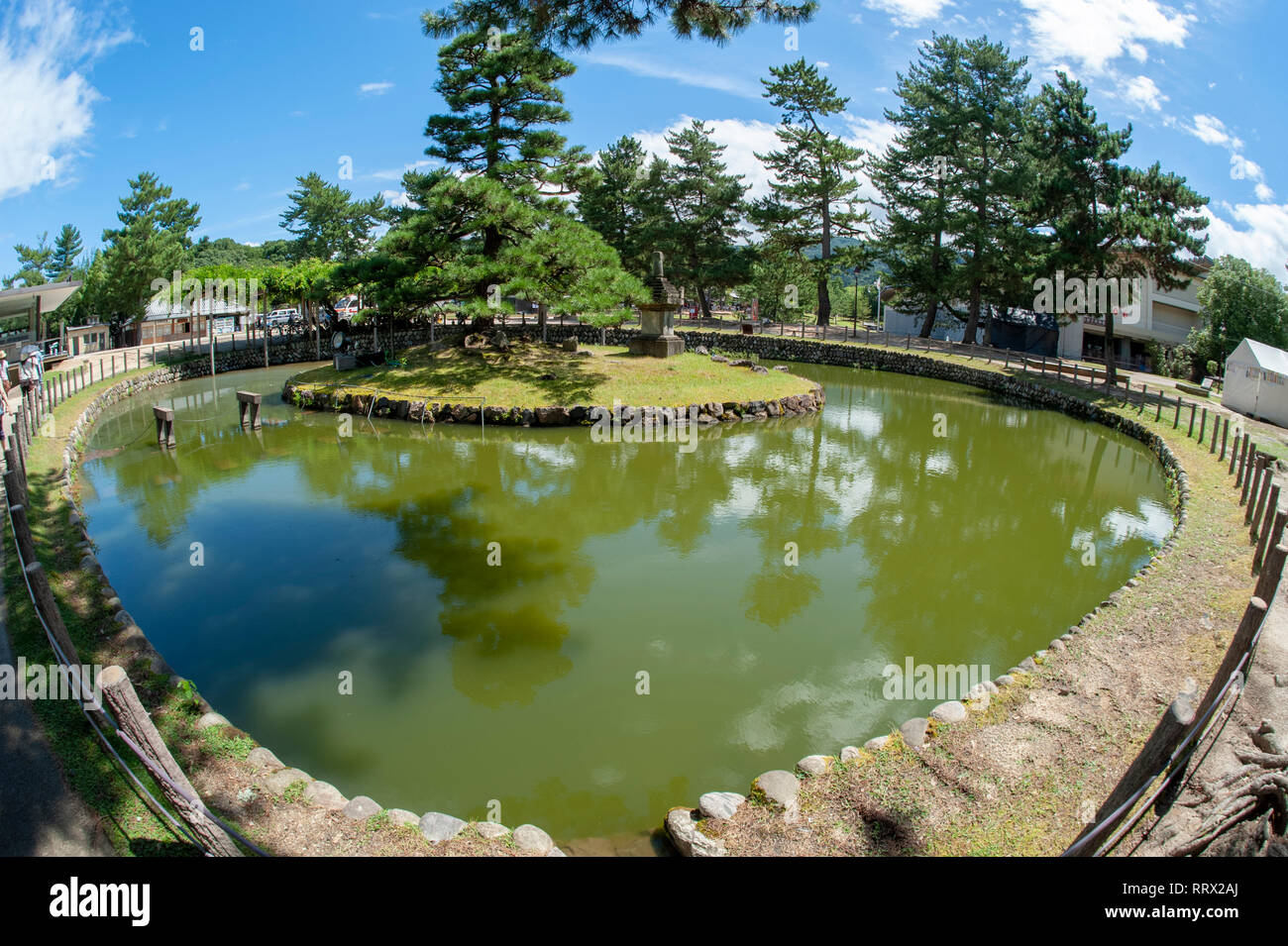 Terrapin pond in Nara, Japan Stock Photo