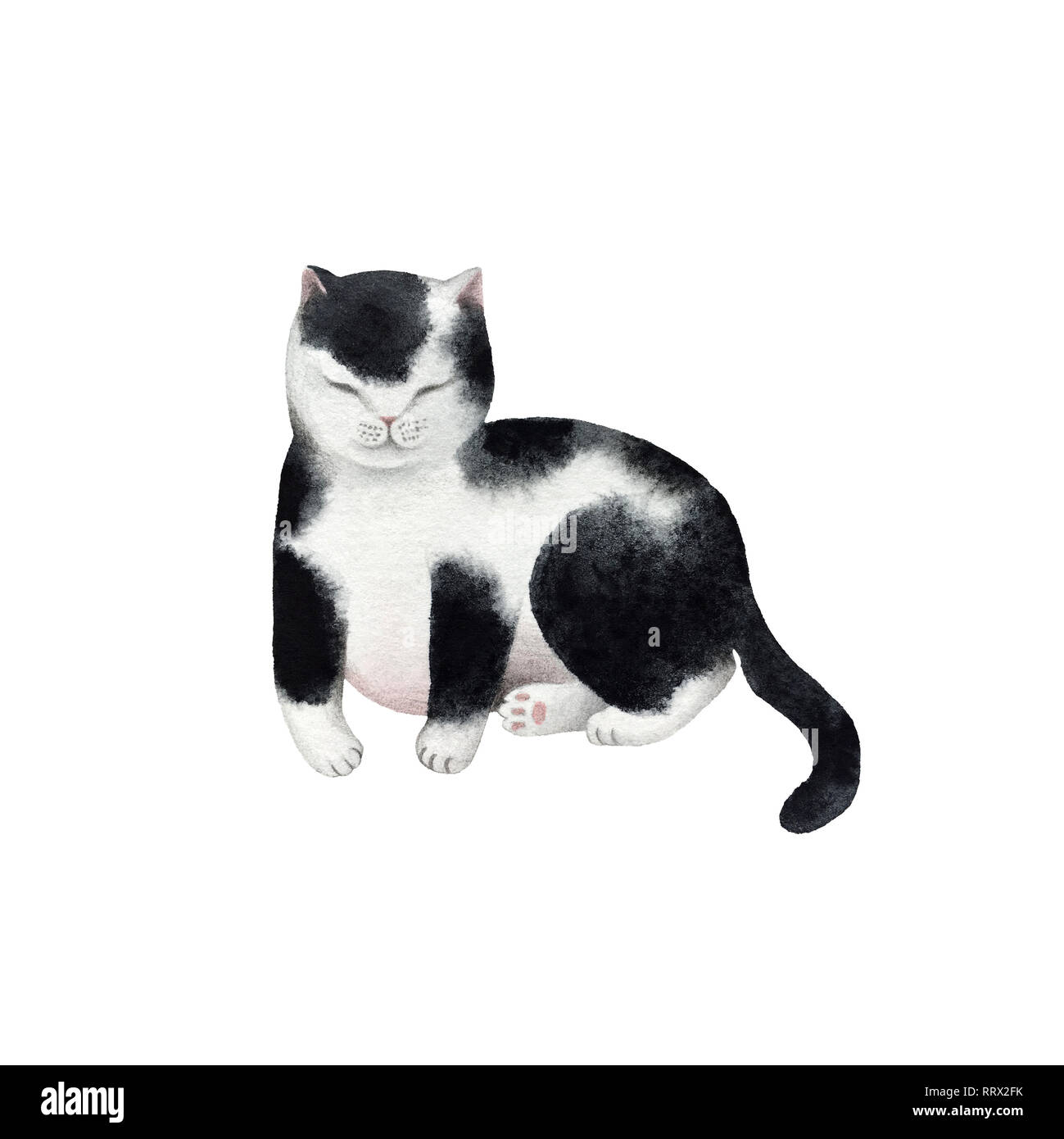 Cute watercolor cat character isolated on white background for design ...
