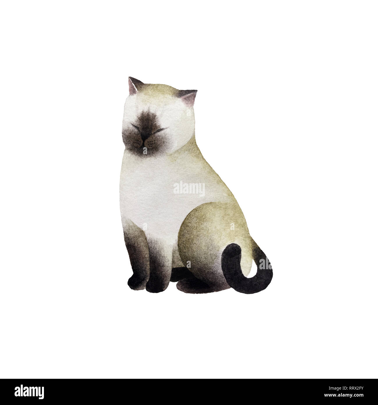 Cute watercolor cat character isolated on white background for design, postcards, banners. Stock Photo