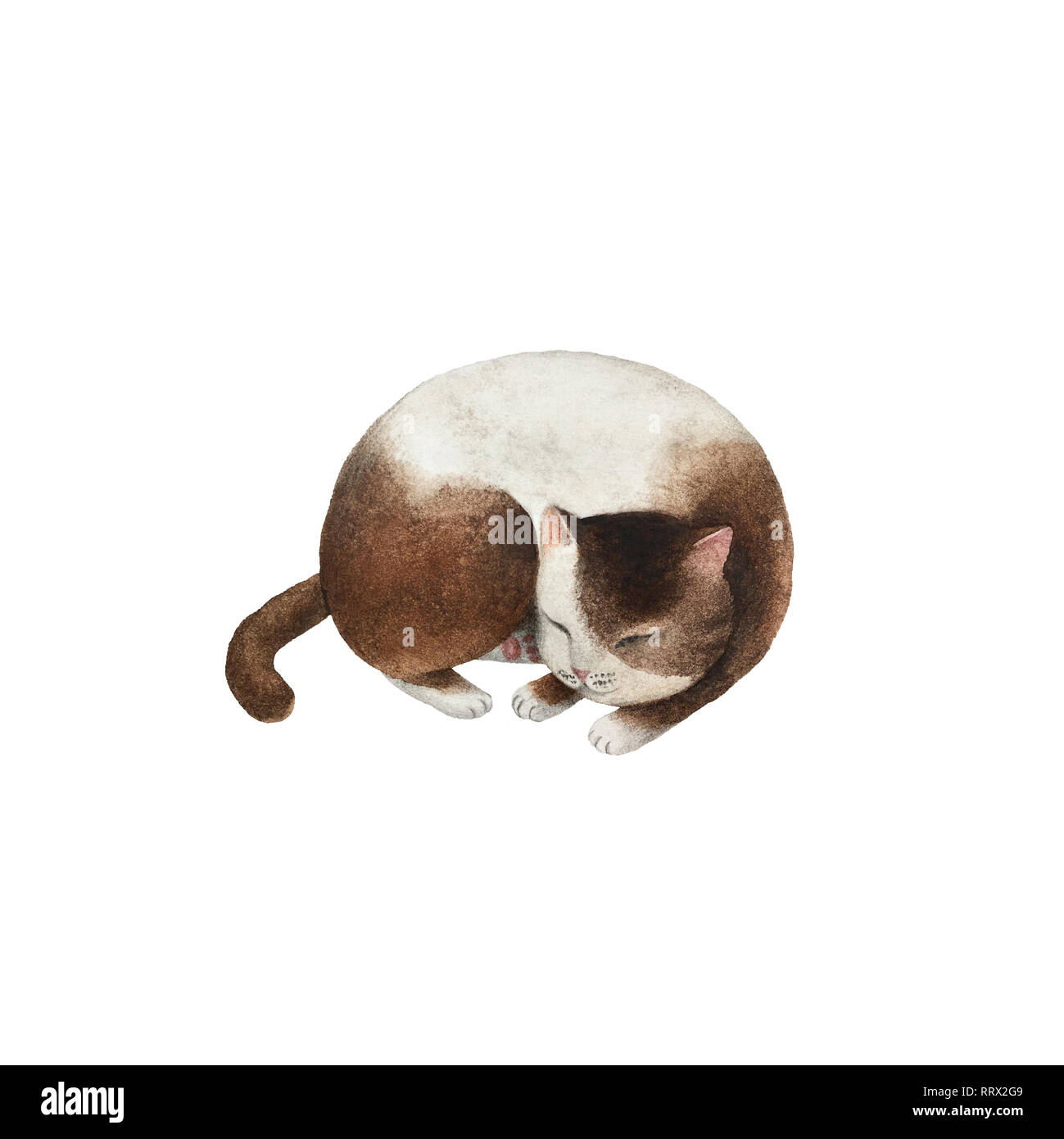 Cute watercolor cat character isolated on white background for design ...