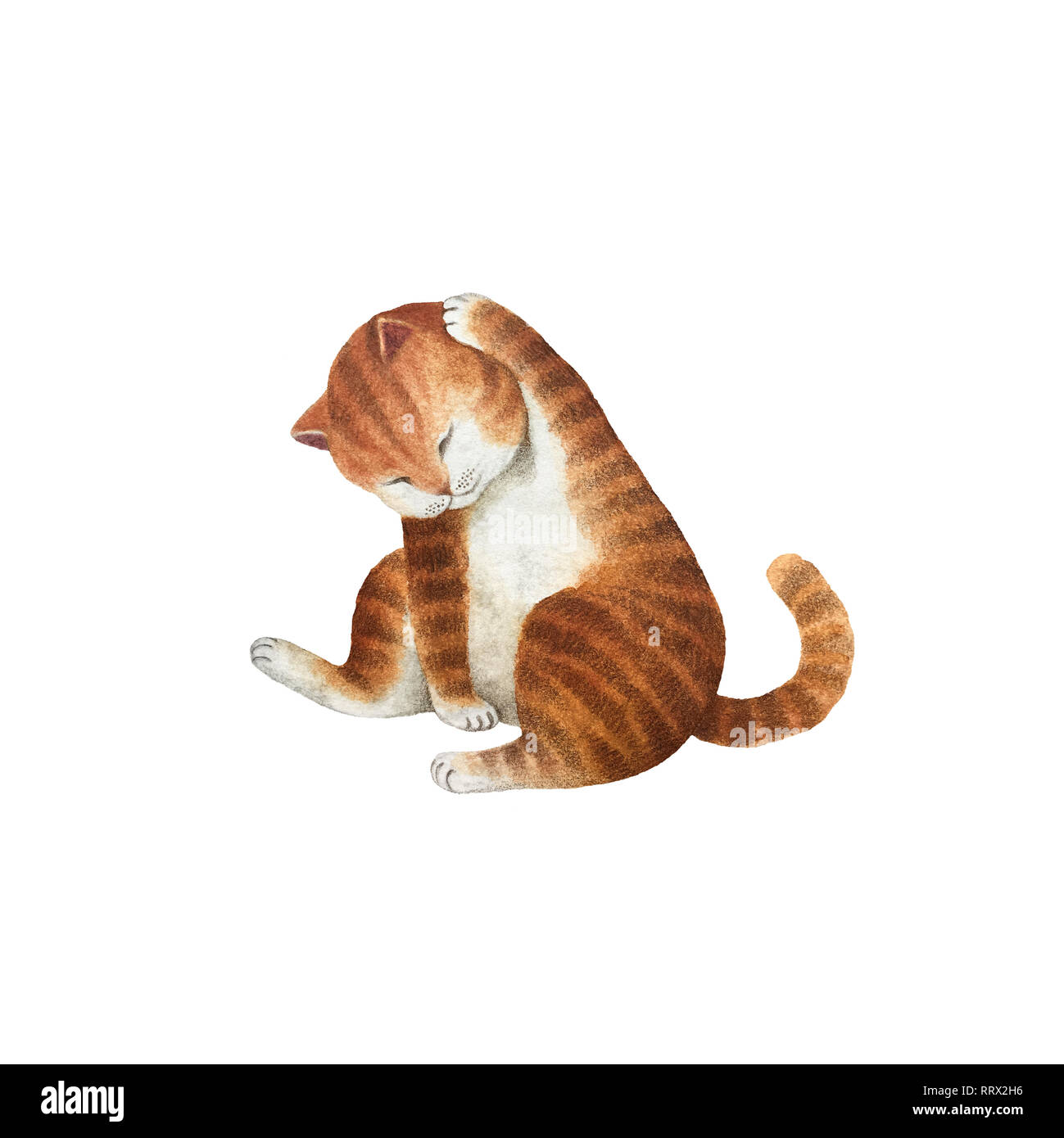 Cute watercolor cat character isolated on white background for design ...