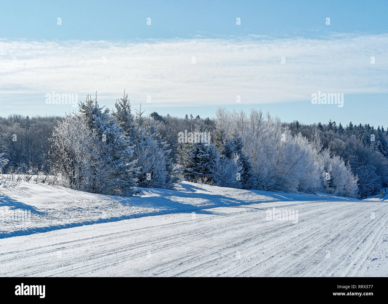 A snow covered road bordered with trees in rural Amercia. Stock Photo