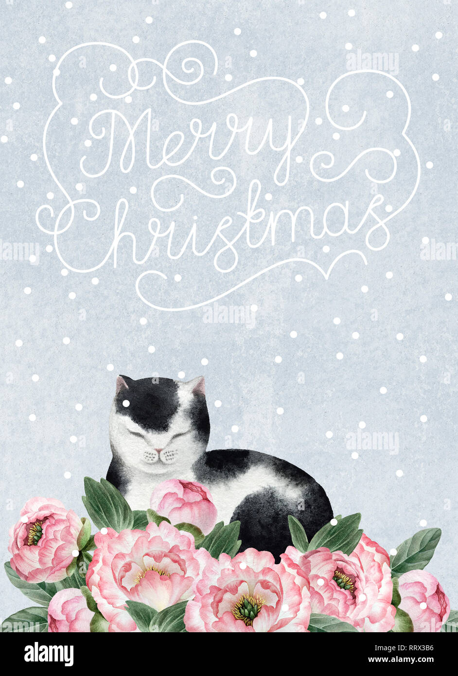Greeting postcard with cute watercolor cat. Fat cat isolated on blue background with snowflakes for design, postcards, banners. Stock Photo