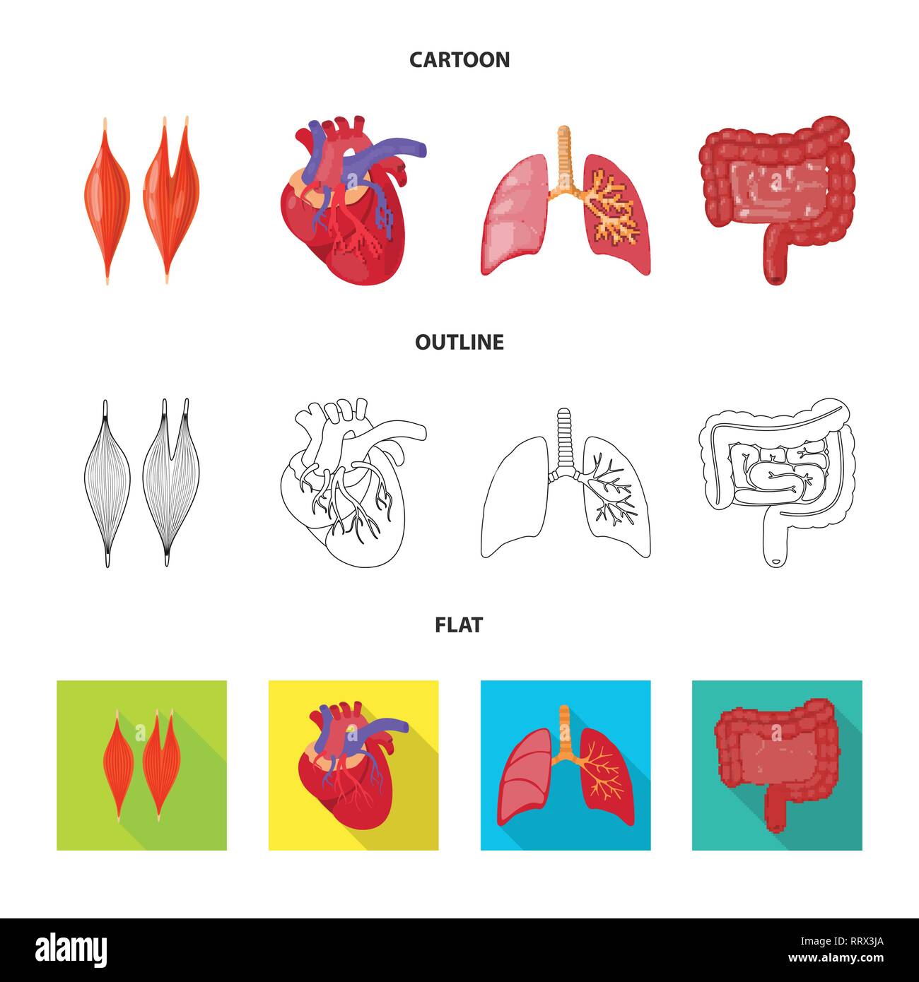 Vector illustration of biology and scientific symbol. Collection of ...