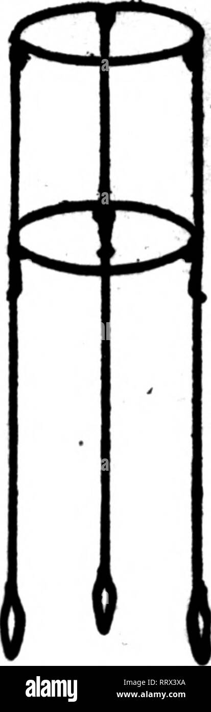 . Florists' review [microform]. Floriculture. Carnation Calyx An effective cure for splits. Simple and indestructible, made of brass. Does not retard the growth of flower at all. Don't be a doubter. A trial will con- vince. $2.00 per 100, delivered free when cash is with order. MORTON R. TANK. Chatham. New York SPLIT CARNATIONS Easily mended with Pillsbary's Carnitiot Staple &quot;Beet derlce on the market&quot; Joseph Traudt &quot;Oonld not get along wltbont them.&quot; S. Vf. Pike. 8000 for (1.00, postpaid. LLPUIsbnry,fialcsb«s.lll GROW THE BEST STOCK By llslns th« B«*t Manure F*rtlllz«rs We Stock Photo