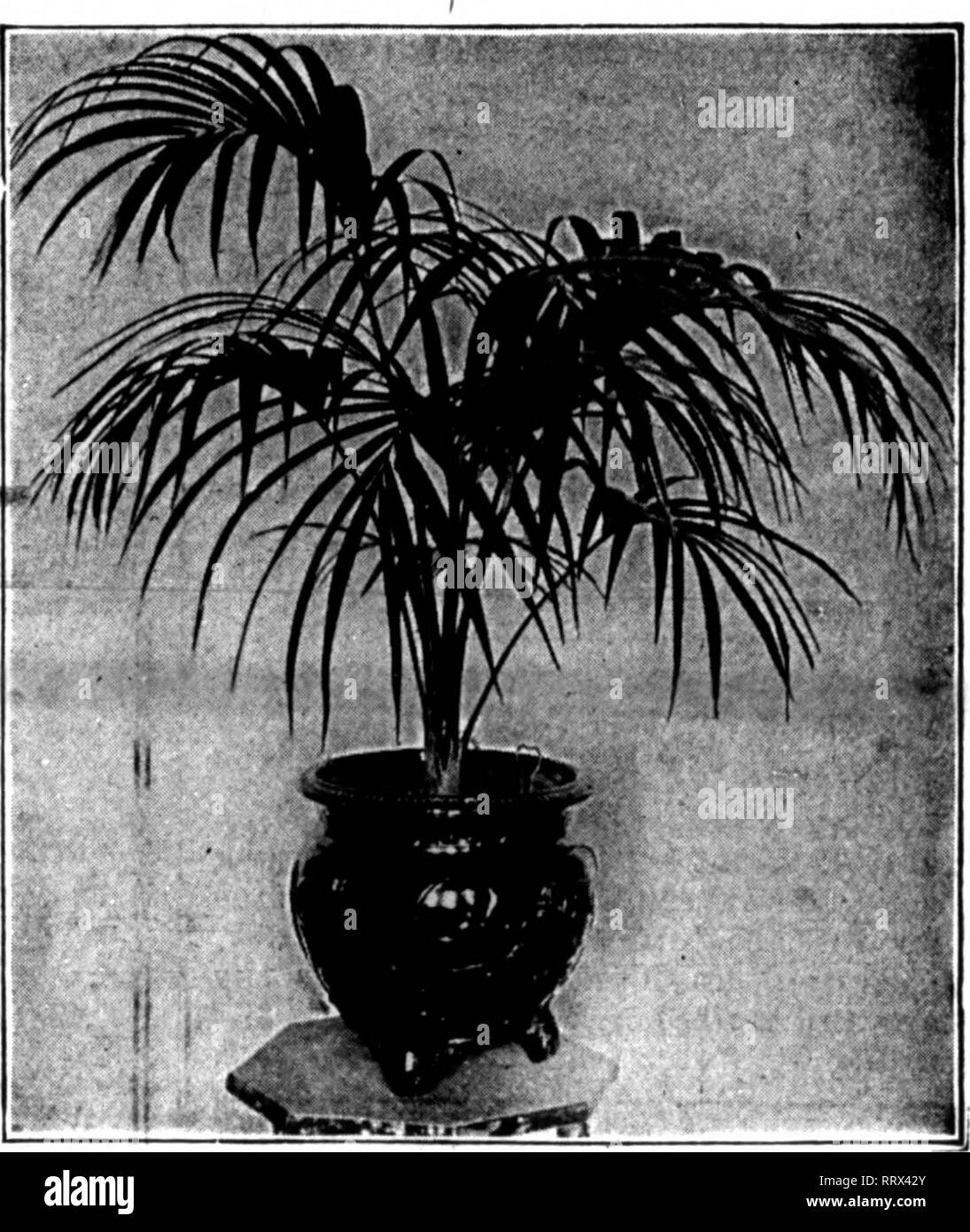 Bookleafnumber1275 Black and White Stock Photos & Images Alamy