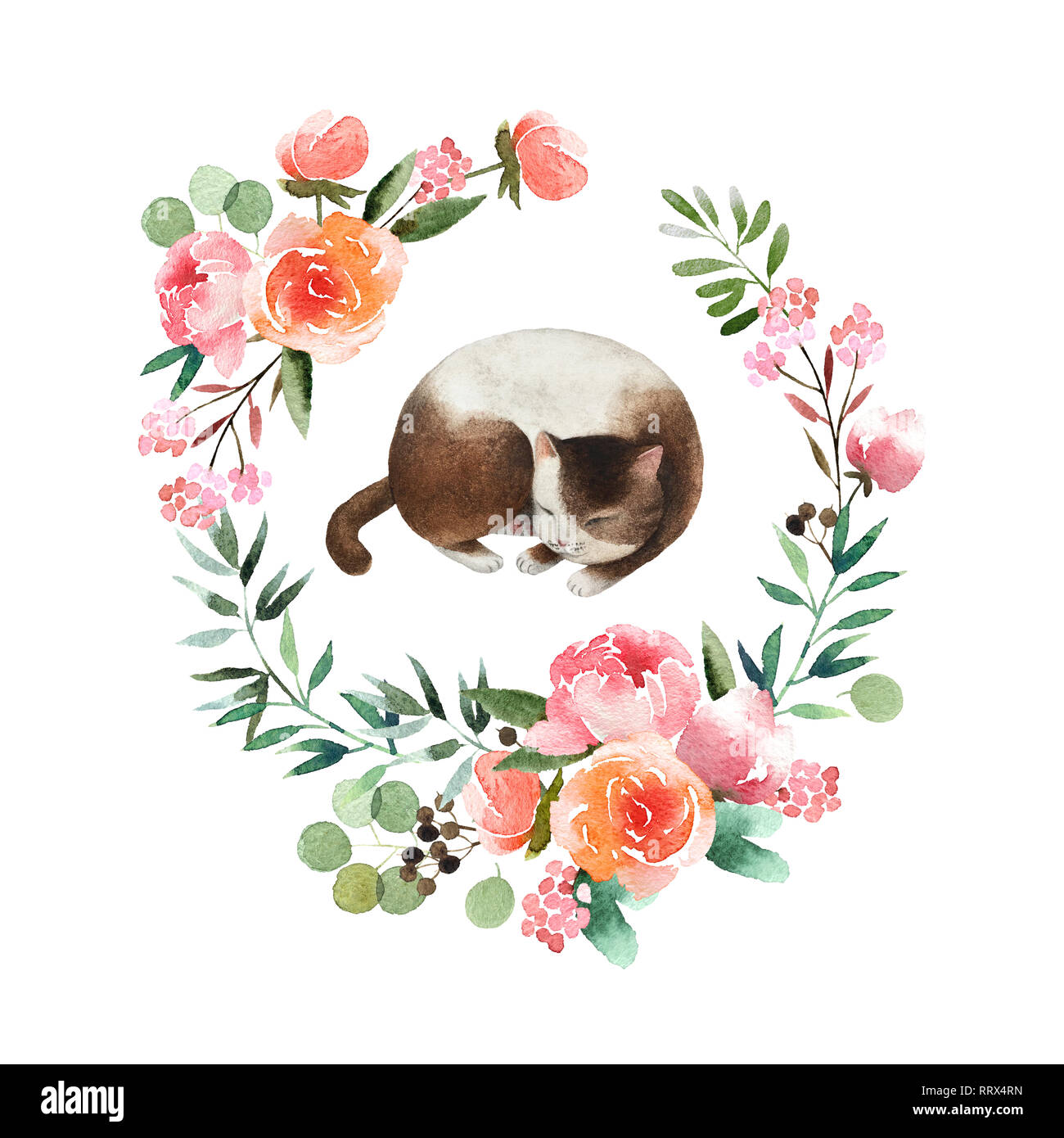 Beautiful watercolor wreath with cute cat isolated on white background. Round floral watercolor wreath for design, postcards, banners, emblems, logo. Stock Photo
