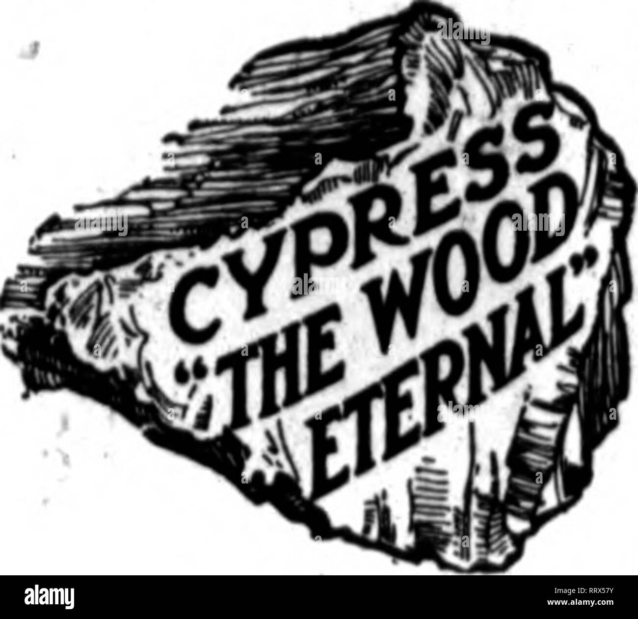 . Florists' review [microform]. Floriculture. Cypress a Strong Wood. Do you know that when it