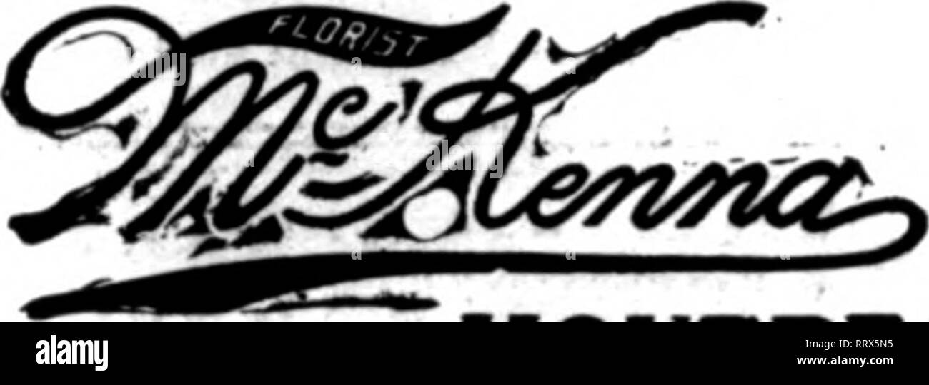 . Florists' review [microform]. Floriculture. r-&gt;- FLORIST 413 Madison Ave.. Cor. 48th St.. NEW YORK BelleTUe Avenue, Newport, R. I. All orders receive careful attention. Choice Beautios, Orchids and Valley alwajrs on hand.. MONTREAL ?STATE OF FRED EHRET WHOLKSALK AND RETAIL FLORIST 1407 Falrmout Avenne and 708 N. Broad Street PHILADELPHIA Orders for Philadelphia and sarronnding country carefully filled on short notice. MYER 60911NadisonAve.,NewYork LD. Phone 5297 Plan TEXAS WELLESLEY COLLEGE Daaa Hall, Walait HIU, Boekrldre HaU Hehools TAILBT, Wellesley, Mass. Long DUtance Tel.. Welleeley  Stock Photo