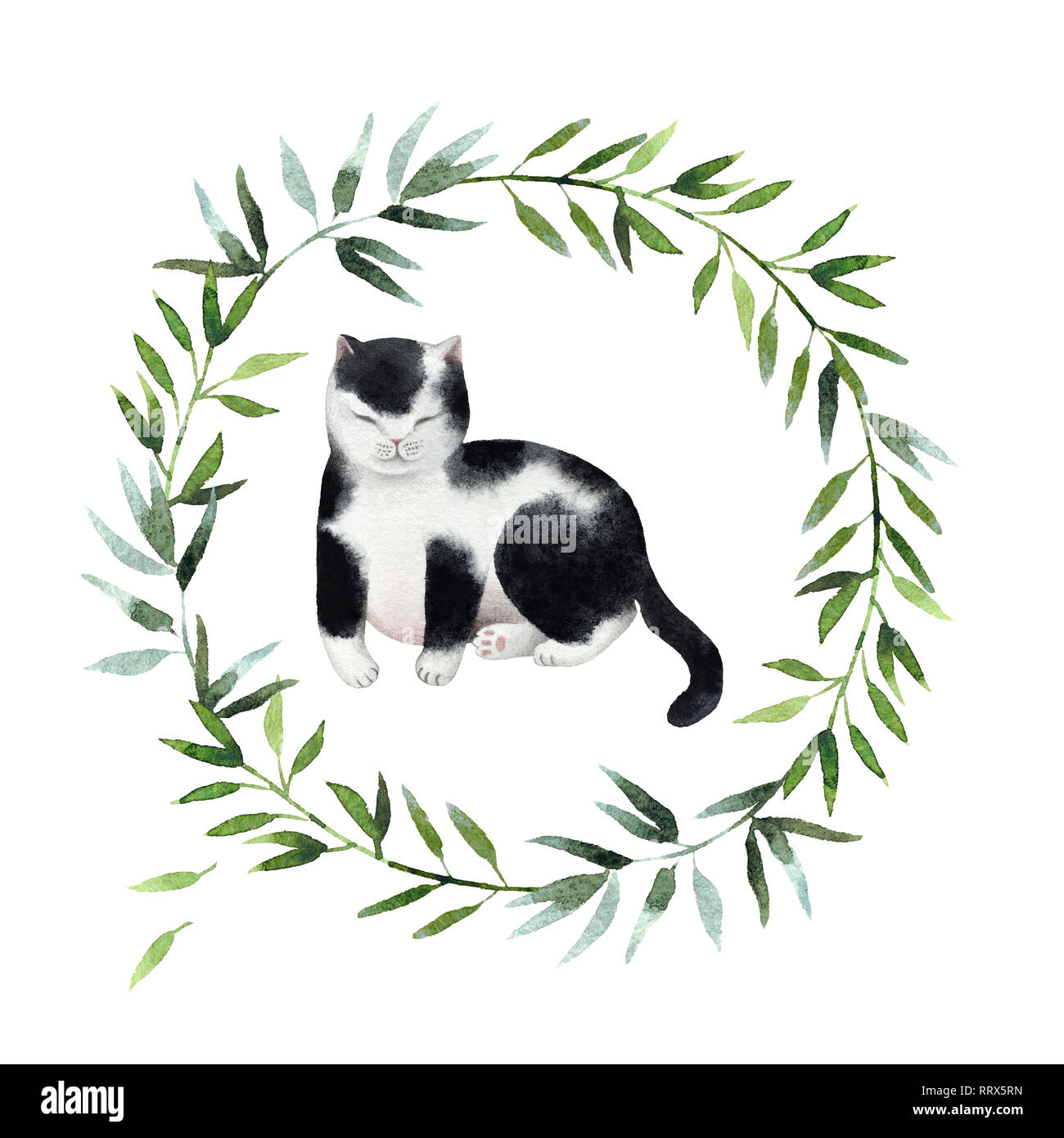 Beautiful watercolor wreath with cute cat isolated on white background. Round floral watercolor wreath for design, postcards, banners, emblems, logo. Stock Photo
