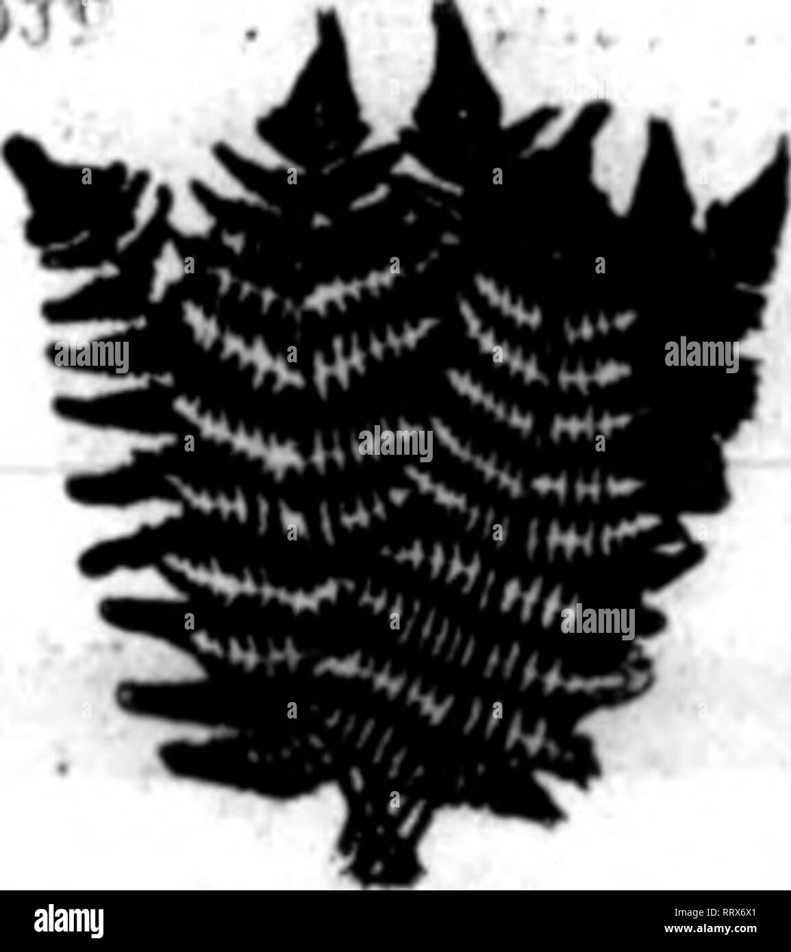 Blk Black And White Stock Photos Images Alamy