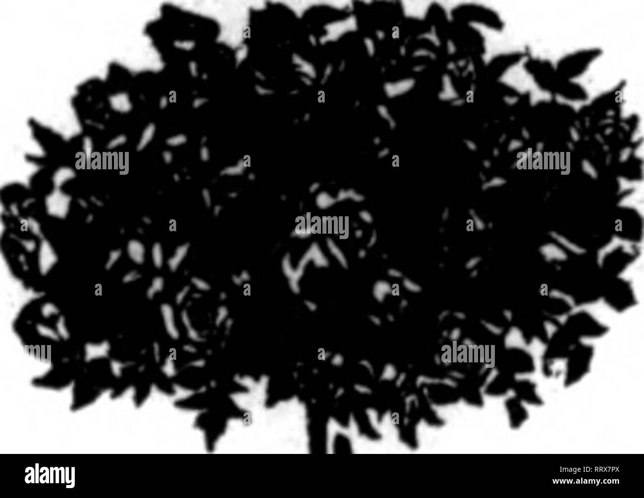 Page 8 Tmt High Resolution Stock Photography And Images Alamy