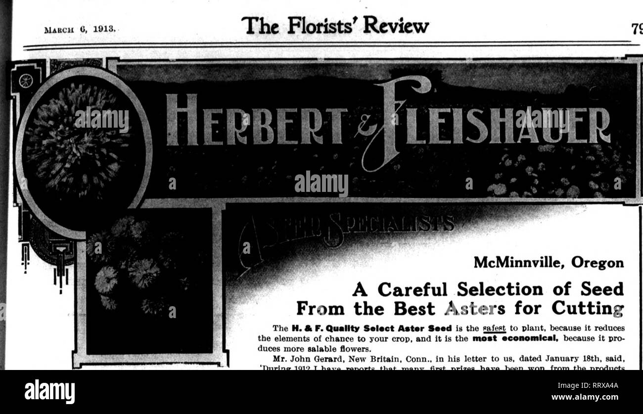 . Florists' review [microform]. Floriculture. The Florists^ Review 79. McMinnville, Oregon A Careful Selection of Seed From the Best Asters for Cutting The H. A F. Quality S«l«ct Astor Saad is the nafest to plant, because it reduces the elements of chance to your crop, and it is the most •conomlcal, because it pro- duces more salable flowers. Mr. John Gerard, New Britain. Conn., in his letter to us, dated January 18th, said. ^ 'During 1912 I have reports that many first prizes have been won from the products —^——?—&quot;?'?™&quot;—&quot;™&quot;&quot;&quot;™&quot;&quot;&quot;&quot;&quot; of yo Stock Photo