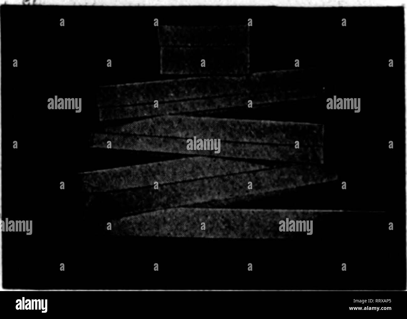 Florists Review Microform Floriculture Palm Oreen Lllst Qny Milt Browb L Z 4 Zs Aoz 4 Xs 18x 5 Zs 21z S Z8 Mz S Zsvi Loz S Zm Mz 6 Z8h 4 Gt B0