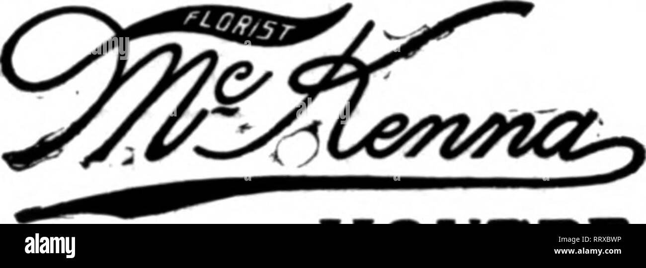 . Florists' review [microform]. Floriculture. FLORIST 413 iVUdlson Ave.. Cor. 48th St.. NEW YORK Bellevue Avenue, Newport, R. I. All orders receive careful attention. Choice Beauties, Orchids and Valley always on hand.. MONTREAL ESTATE Of- FRED EHRET WHOLCSALK AND RKTAXI. nX&gt;RI8T 1407 FairmoiiBt Aranae and 70S N. Broad Street PHILADELPHIA Orders for Philadelphia and surronndlnff coantn carefully flilod on short notice. NYER 60941Ha&amp;onAve.,NewYwk LD.niM 8297nisi WELLESLEY COLLEGE Dana Hall, Wslnnt HiU, Bockrldre Hall (ichooli TAILBY, Wellesley, Mass. Long Distance Tel.. Wellesley 44-1. * Stock Photo