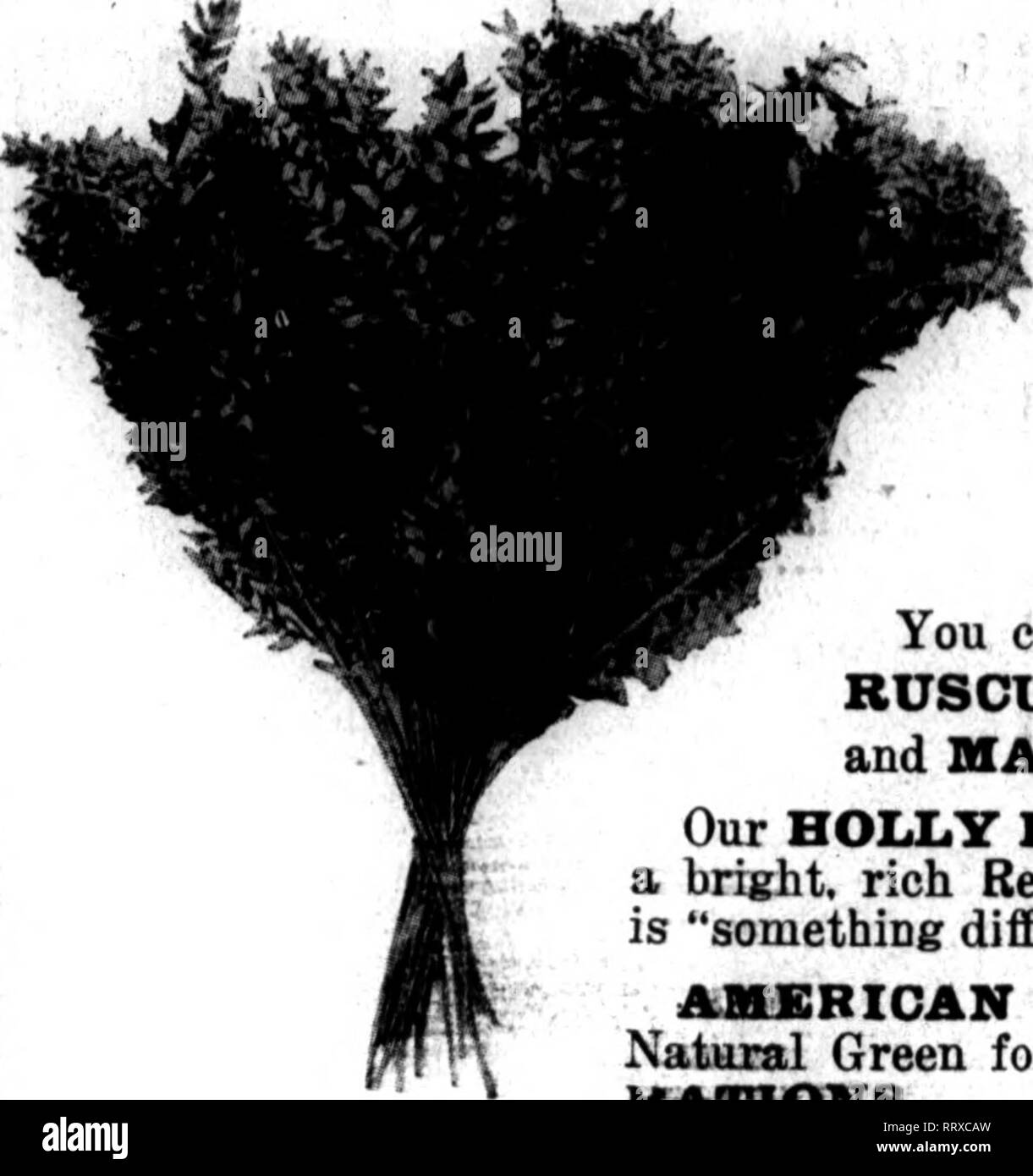 Bookleafnumber421 High Resolution Stock Photography And Images Alamy