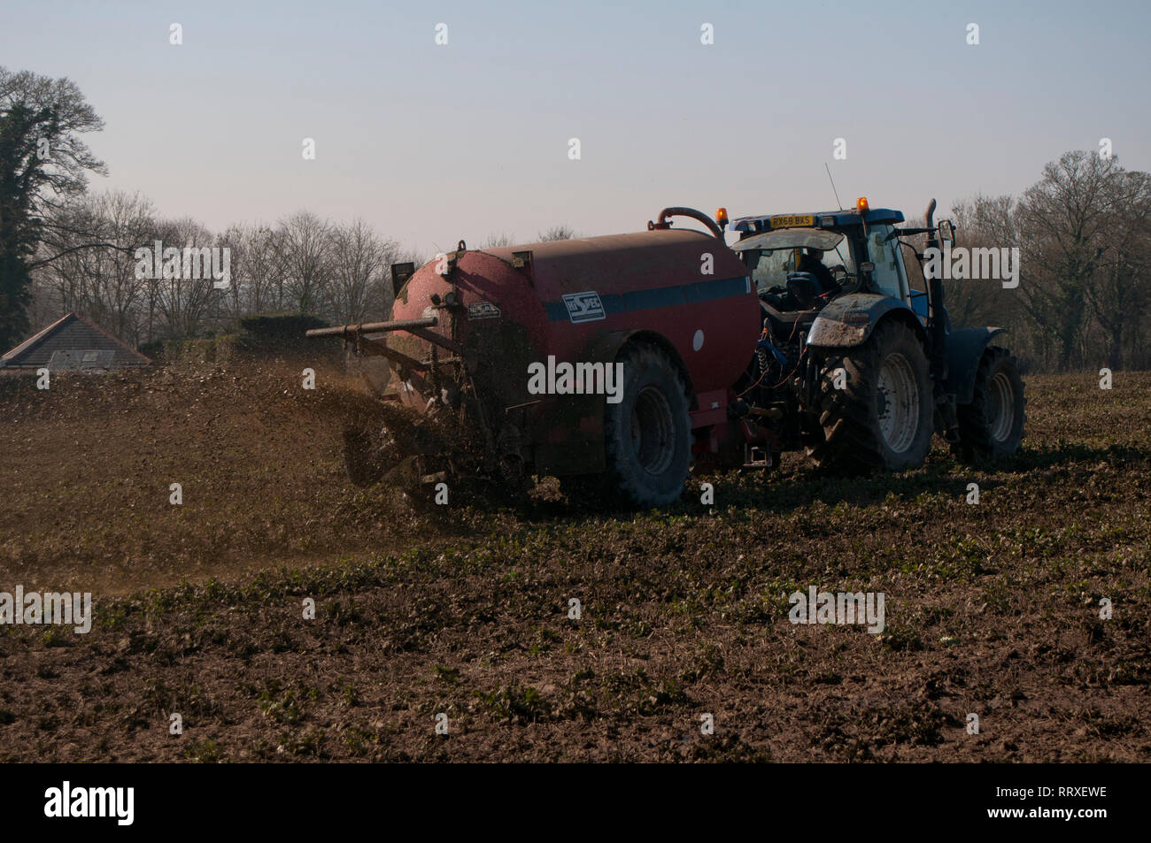 Muck Spreading on a farm with a tractor Stock Photo Alamy