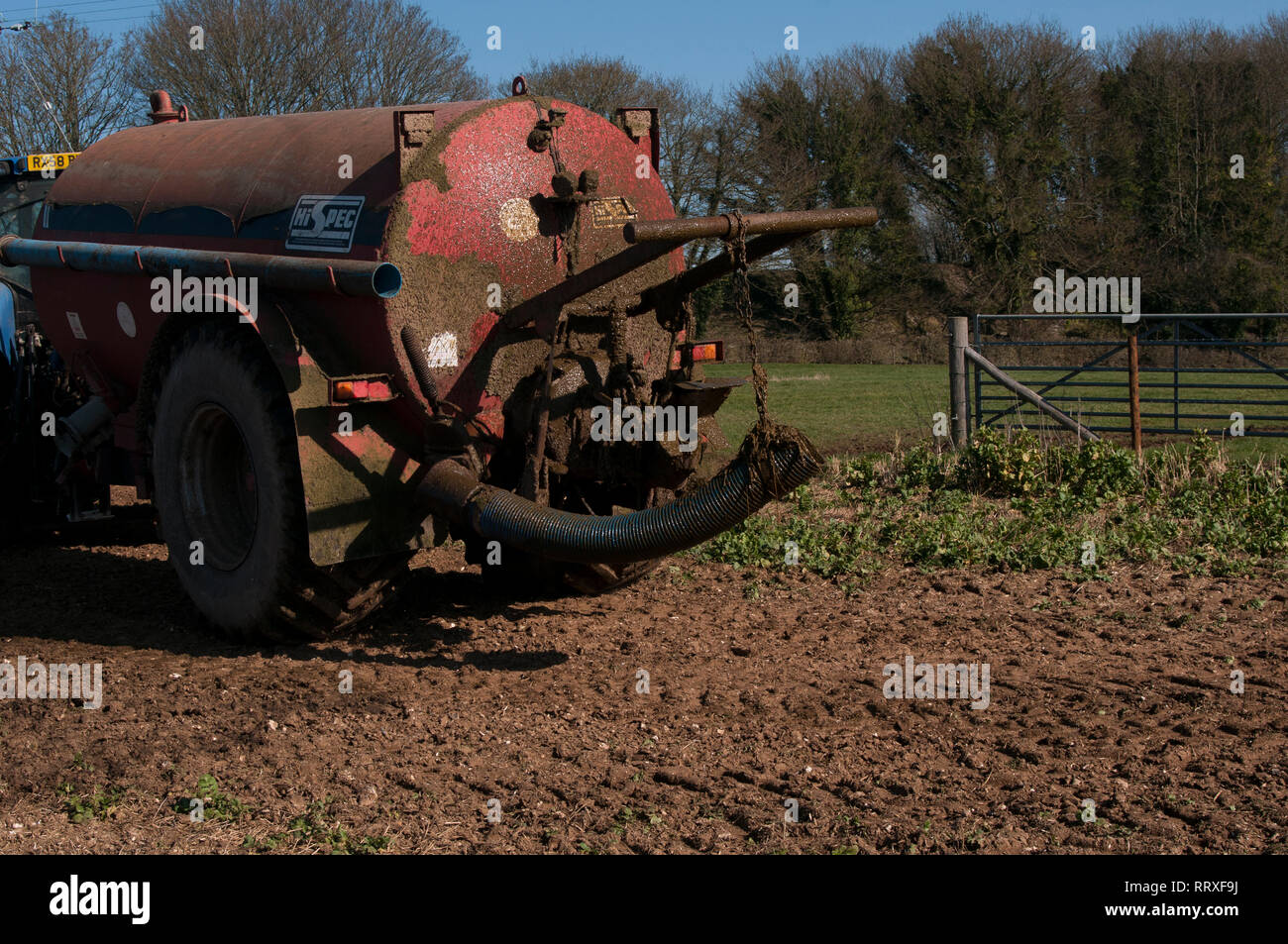 Muck Spreading on a farm with a tractor Stock Photo Alamy
