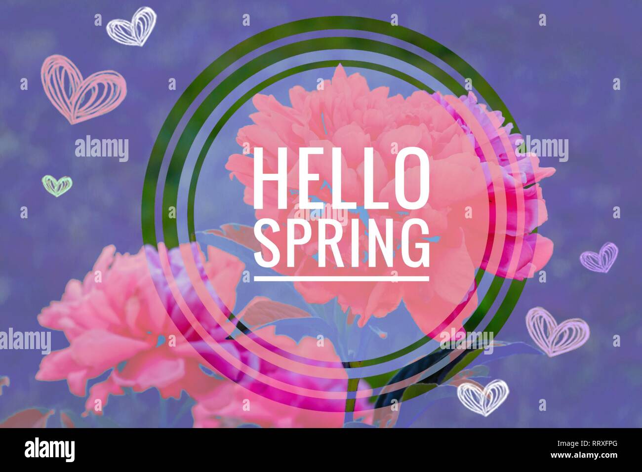 Welcome Back Hello Spring Postcard Hello Spring. Welcome card banner. Spring mood. Nature wakes ...