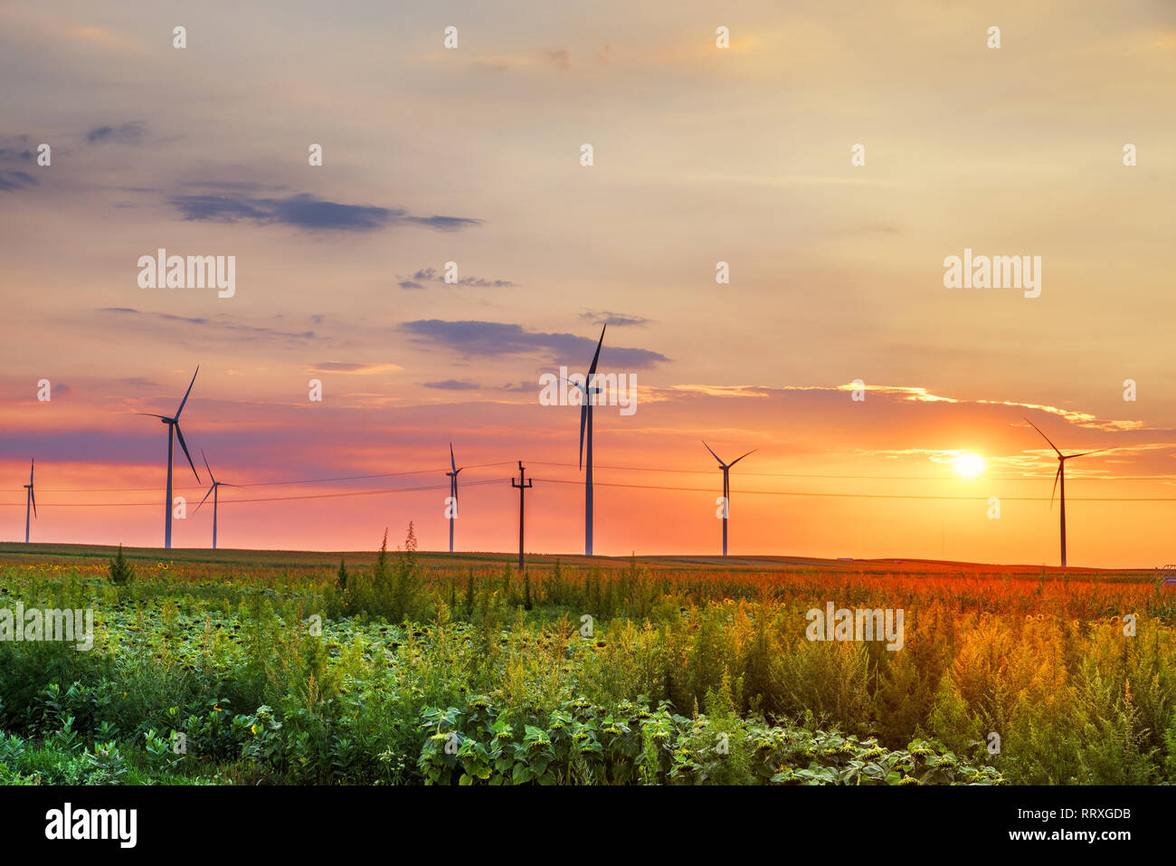 Renewable energy with wind turbines in the sunset Stock Photo - Alamy