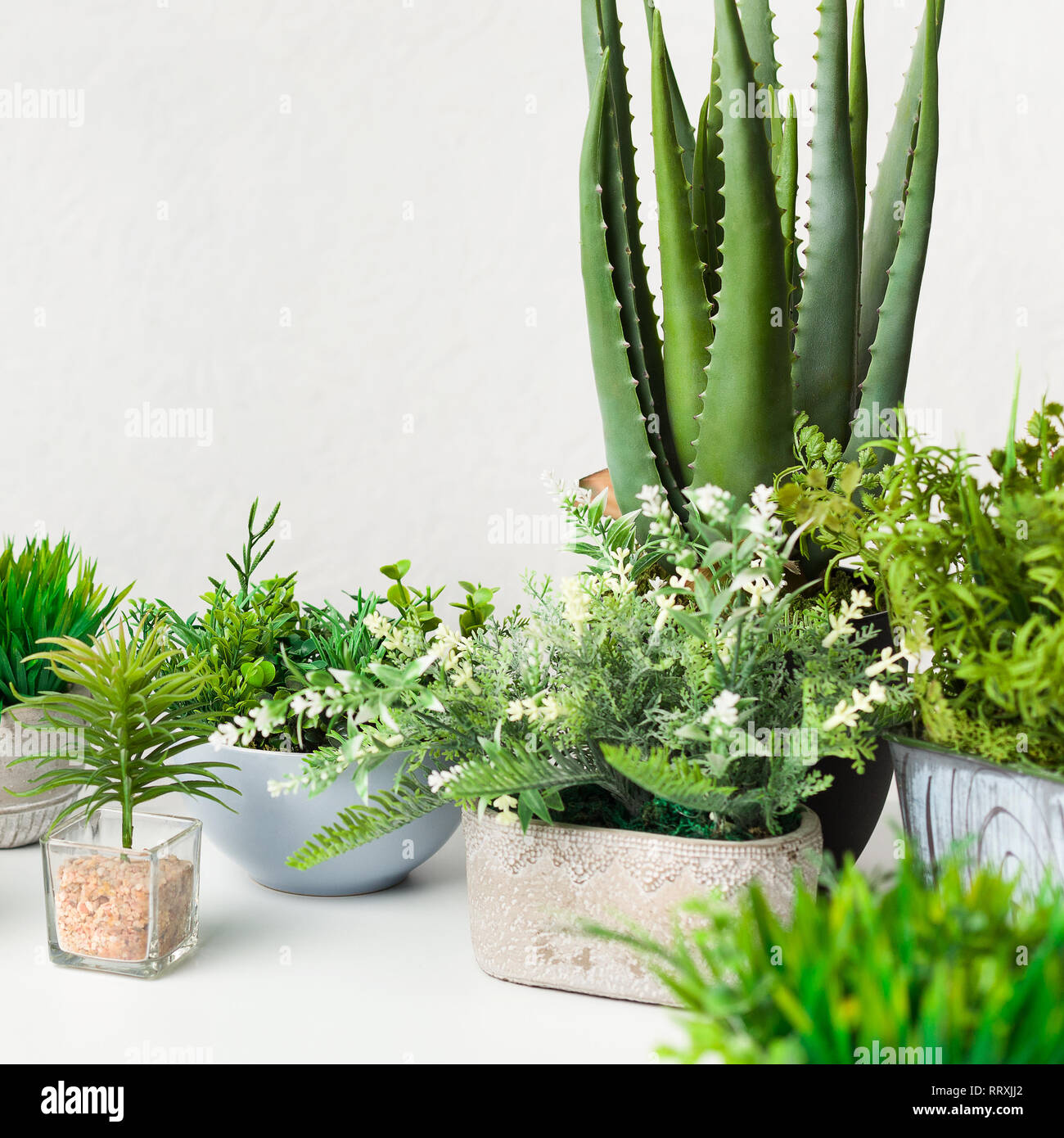 Various artificial house plants in different pots over white wall Stock Photo Alamy