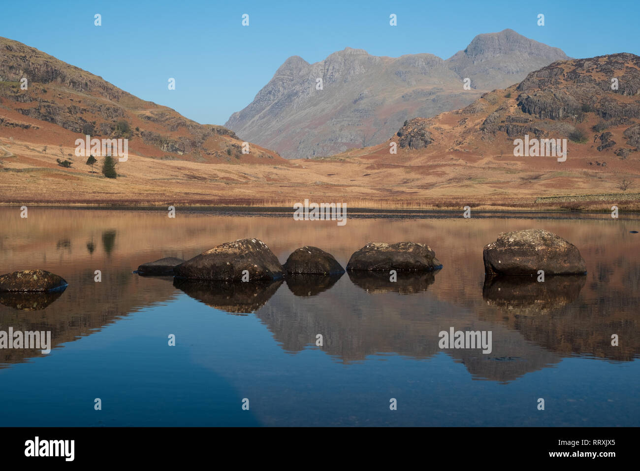 The Langdale Pikes reflected in Blea Tarn (close up), Lake District, UK Stock Photo