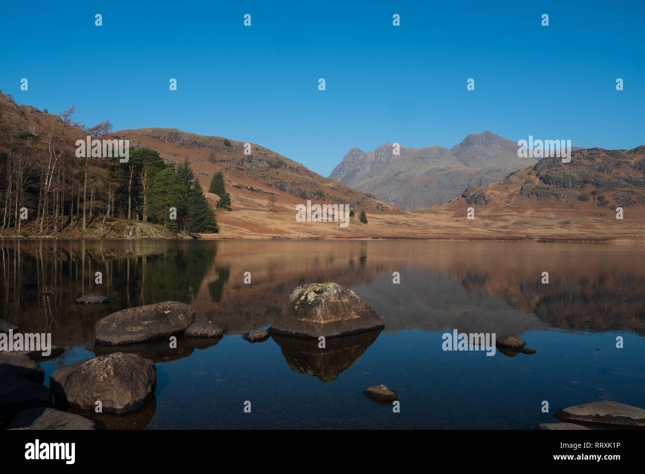The Langdale Pikes reflected in Blea Tarn on a clear day, Lake District, UK Stock Photo