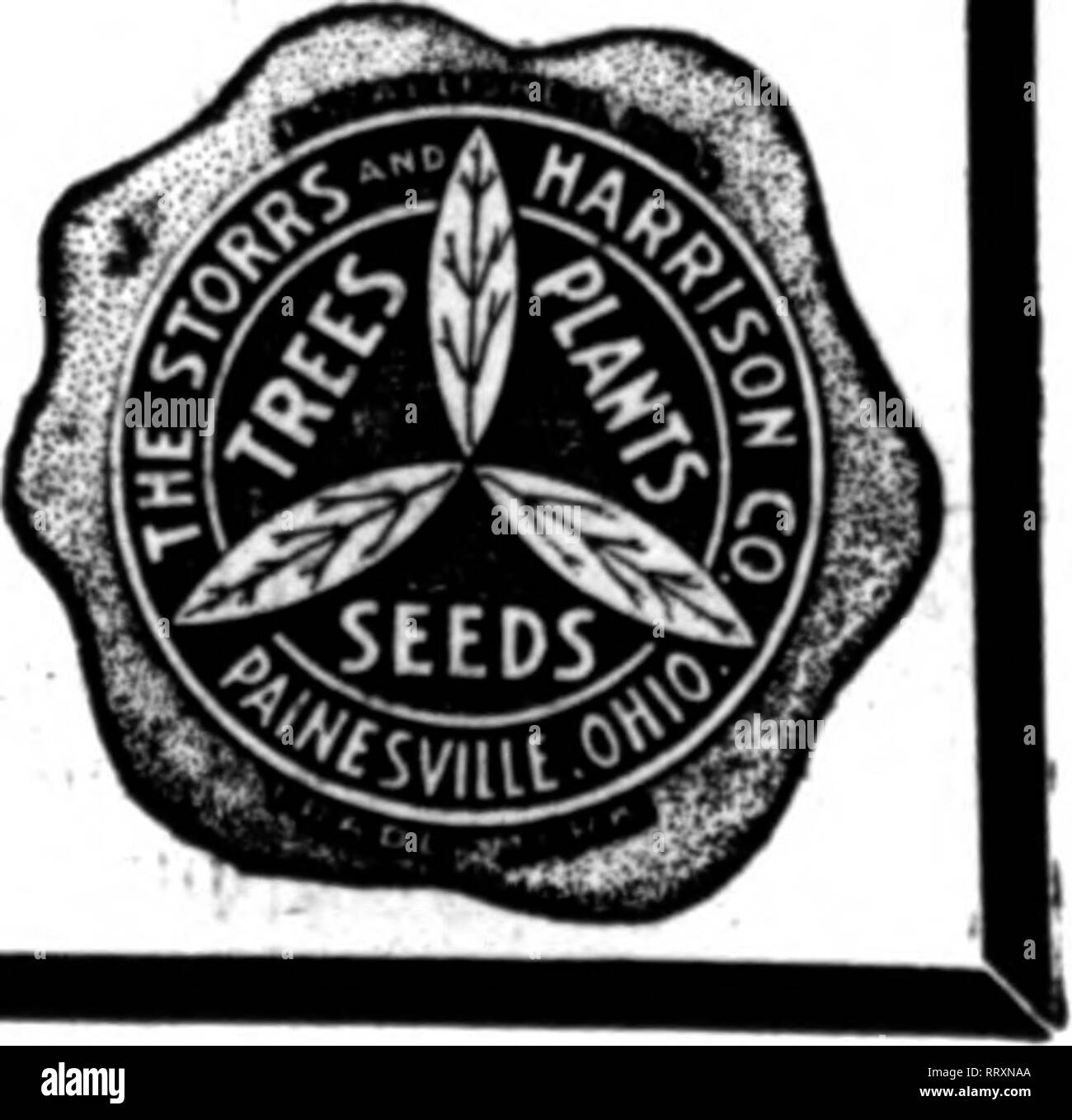 . Florists' review [microform]. Floriculture. &quot;Superl/* Quality&quot; SEEDS FOR fLORISTS THE STORRS &amp; HARRISON CO.'S SUPERB MIXTURE OF GIANT PANSY SEED ContalDB the Ultimate in Oiant Pansieg. You cannot buy a better mixture of Paniy Seed at any price. Trade Packet. 30c; H oz.. $1.26: oz.. $4.00. We carry in stock all named and separate colors of Oiant Pansies, also the best strains of Odier, Cassler, Bu^not. Trimardeau, etc. (See our trade list for prices.) Cineraria Grandiflora .'J;&quot;n')rtirdVp&quot;kI&quot;/;ro&quot;i BelliS Perennis (English Daisy) Longfellow (red). Snowball ( Stock Photo