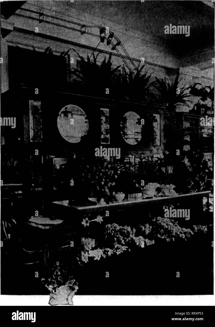 . Florists' review [microform]. Floriculture. ;1P&quot;r*^ ' &quot;ITH^s'F^^;,&quot;&quot;?^ APRIL 10, 1918. The Florists^ Review 43. A McCray Display Case will certainly boost your sales. We build them in stock sizes and to order, to suit individual require- ments. The one shown in the illustration was built to order and is a splendid example of our work. M9CRAY RETEIGERAIORS in all styles and sizes are shown in our beautiful free catalogue No. 72, which is yours for the asking. Write for one and find out how to change your chance buyers into steady, year after year customers. McCray Refriger Stock Photo