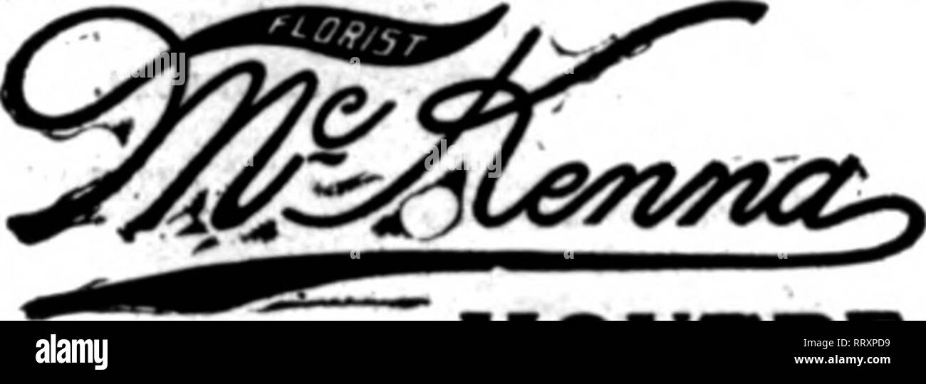 . Florists' review [microform]. Floriculture. FLORIST 413 Mmdrcon Ave.. Cor. 48th St.. NEW YORK Bellevtie Avenue. Newport. R. I. All orders receive careful attention. Choice Beaatias. Orchids and Valley always on hand.. MONTREAL ESTATE OF FRED EHRET WHOLCSAUE AND RETAIL FLORIST 1407 Falrmonnt Arenne and 702 N. Broad Street PHILADELPHIA Orders for Philadelphia and Burronndlngr coontry carefully filled on short notice. MYER 609-llNadisonAve.,NewYork L D. Phone 5297 Plata WELLESLEY COLLEGE DaaaHall. Walant HIU. Bockrldre HaU 8ehooU TAILBY, Wellesley, Mass. Long DlBtance Tel.. Welleeley 44-1.44-2. Stock Photo