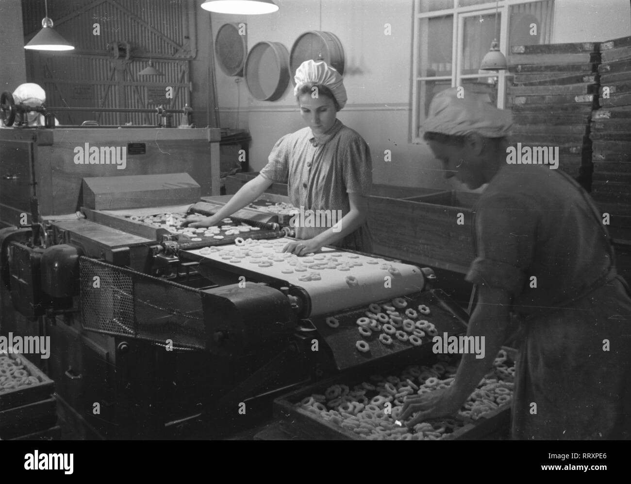 Germany - Deutschland ca. 1950, Sachsen-Anhalt, Zuckerwarenfabrik in Zeitz, Frauen bei der Arbeit am Fliessband Stock Photo