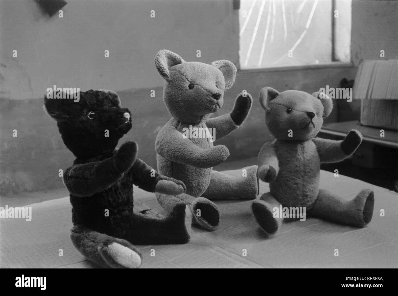 Germany - Deutschland ca. 1950, Thüringen, Teddys der Spielzeugfabrik in Sonneberg Stock Photo