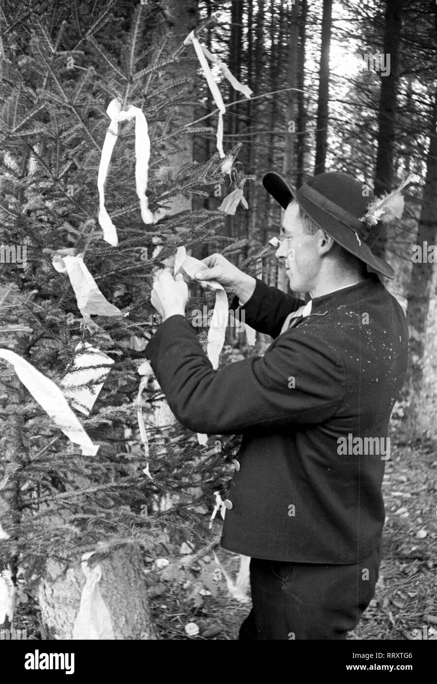 Human - Mann beim Schmücken eines Baumes Stock Photo