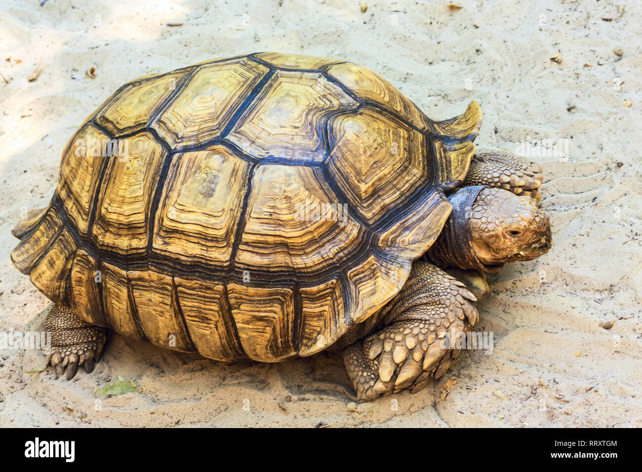 Men uxlab yotgan ayolning mushukiga kiritaman (video faqat uxlayotgan ayollar uchun) Egri-bugri ayollar bilan porno jinsiy aloqa