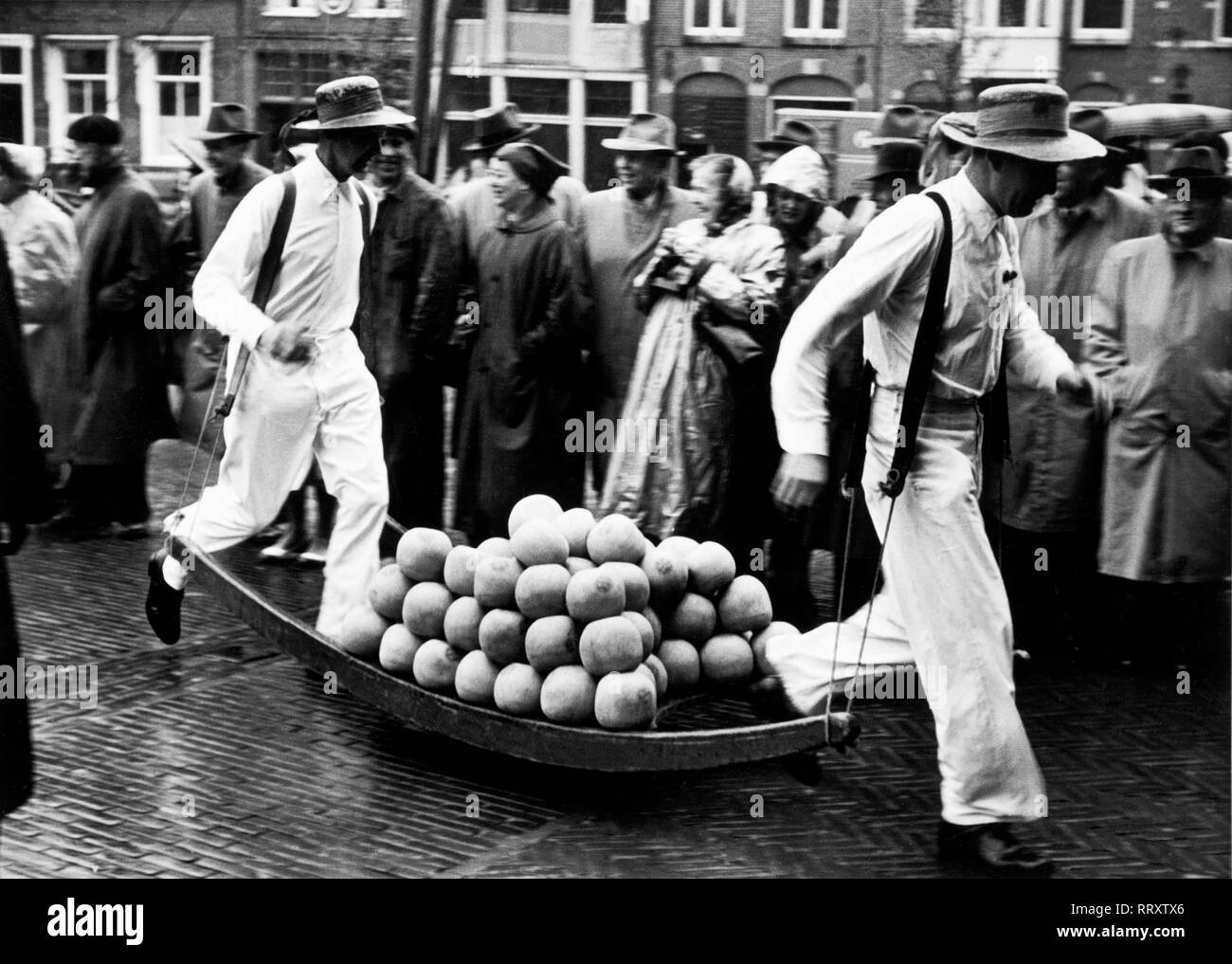 Netherlands - Käsemarkt in Alkmaar, Niederlande, Käseträger bei der Arbeit. Cheese market at Alkmaar. Aufnahme um 1954 Stock Photo