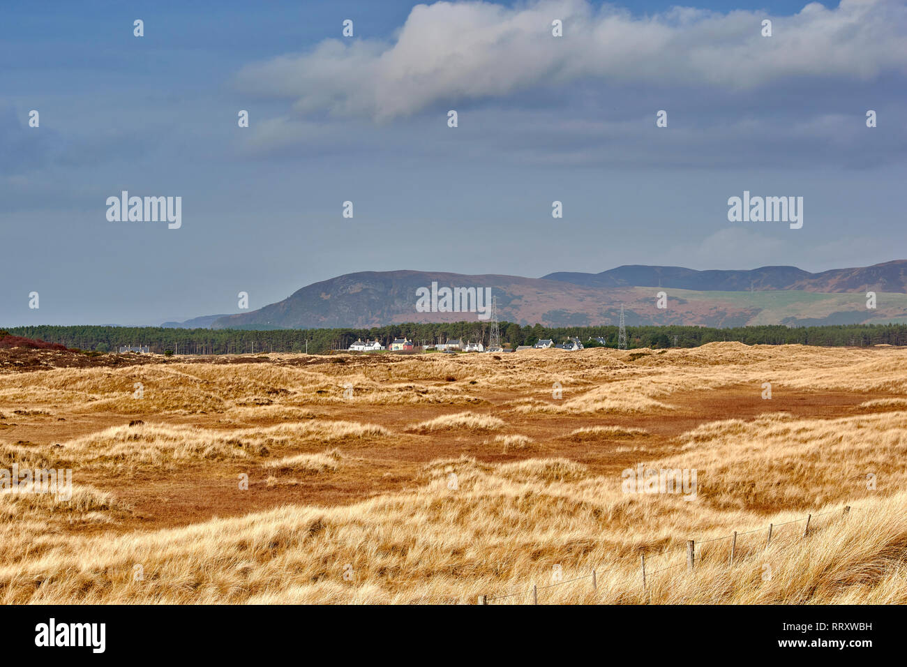 COUL LINKS EMBO SUTHERLAND SCOTLAND LOOKING ACROSS DUNES AND WILD