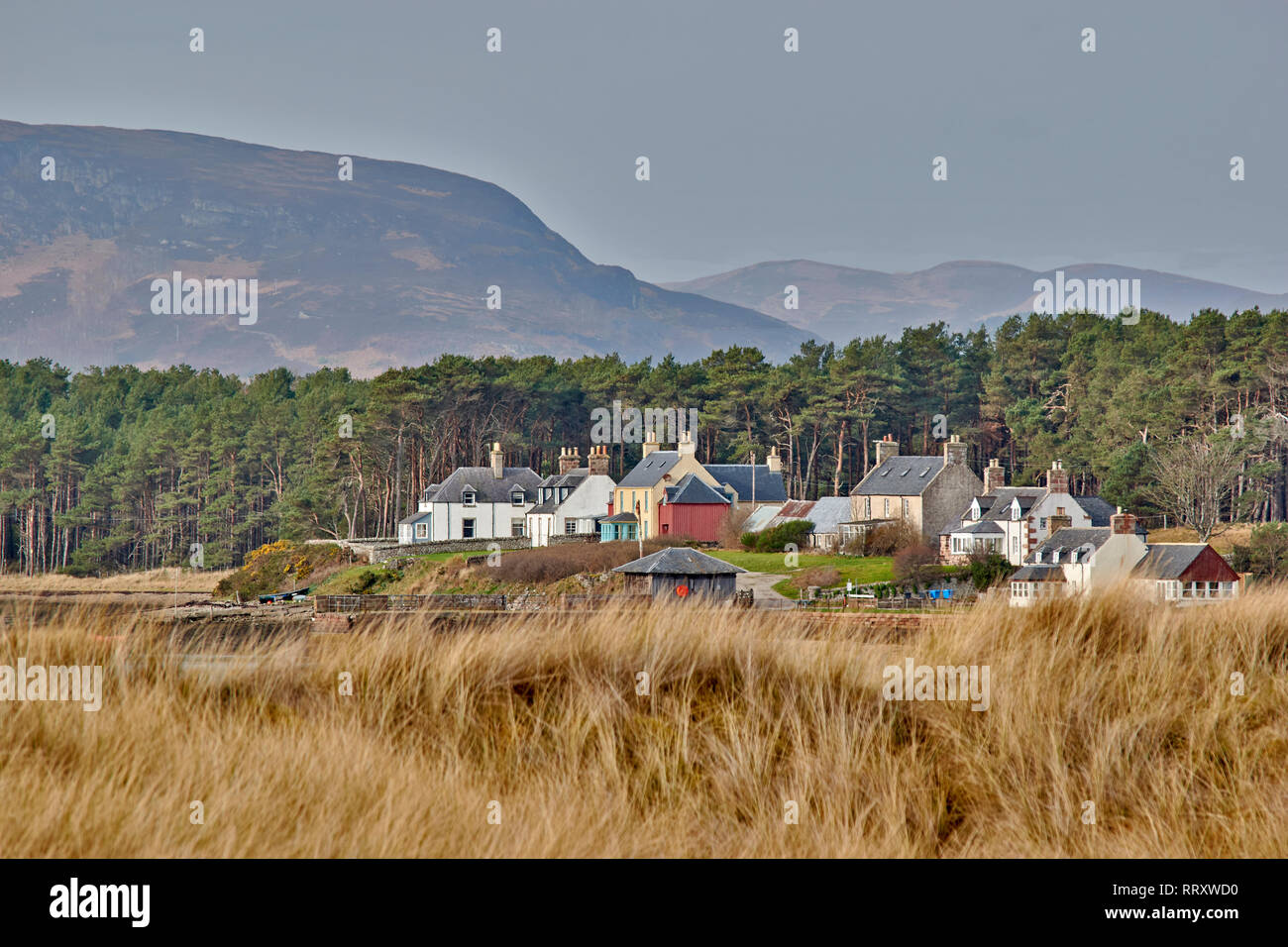 COUL LINKS EMBO SUTHERLAND SCOTLAND THE GRASSES OF THE LINKS AND HOUSES