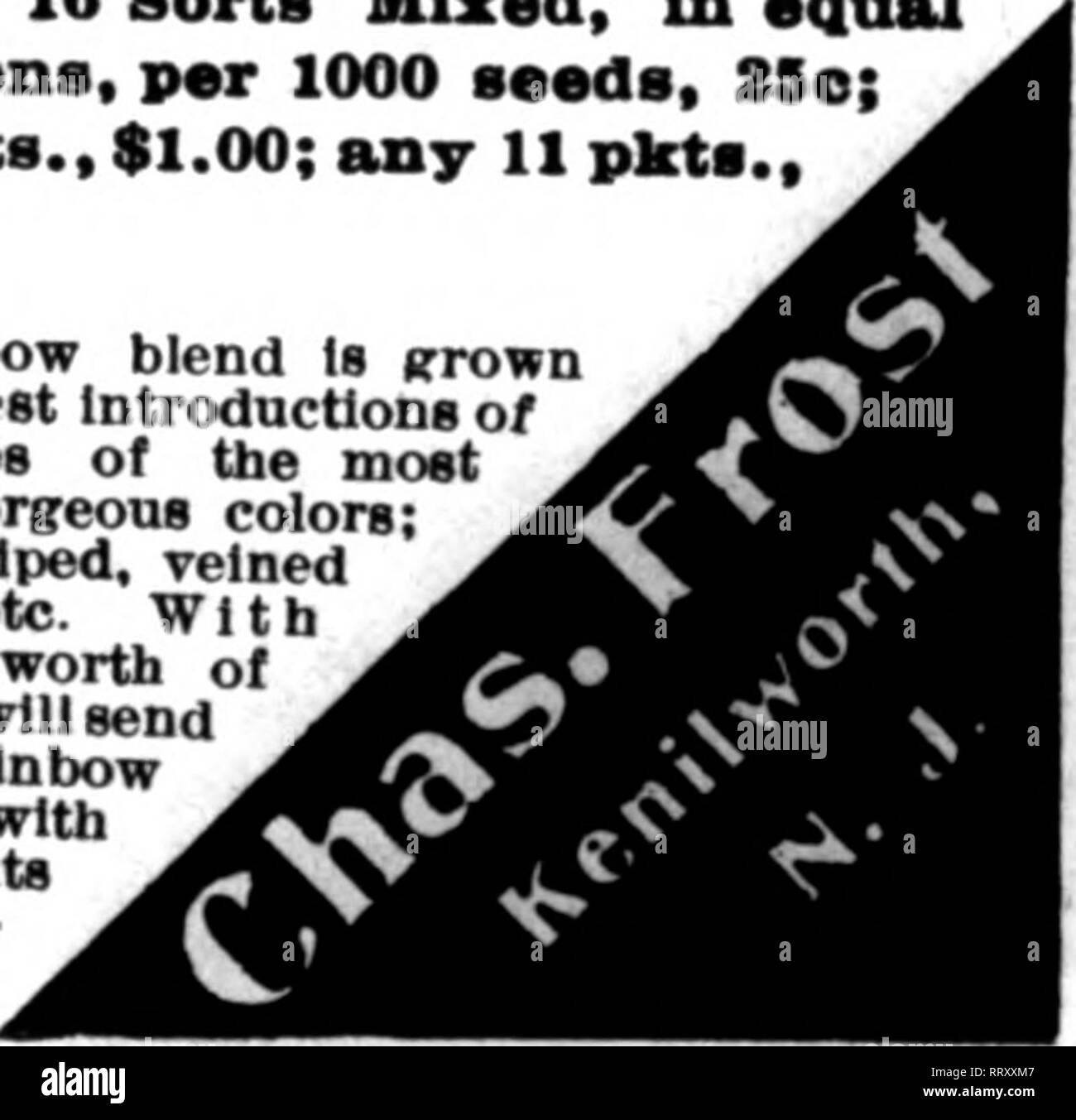 Bookleafnumber421 High Resolution Stock Photography And Images Alamy